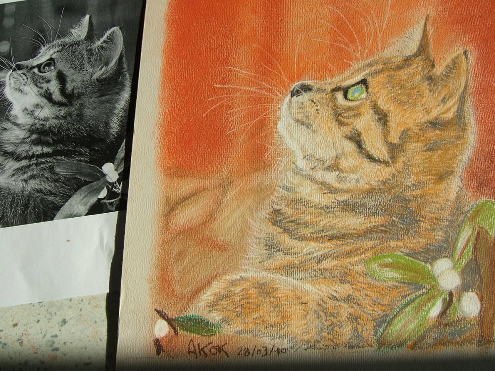 Le chat, contraste minimum au pastel — Acrylique sur toile