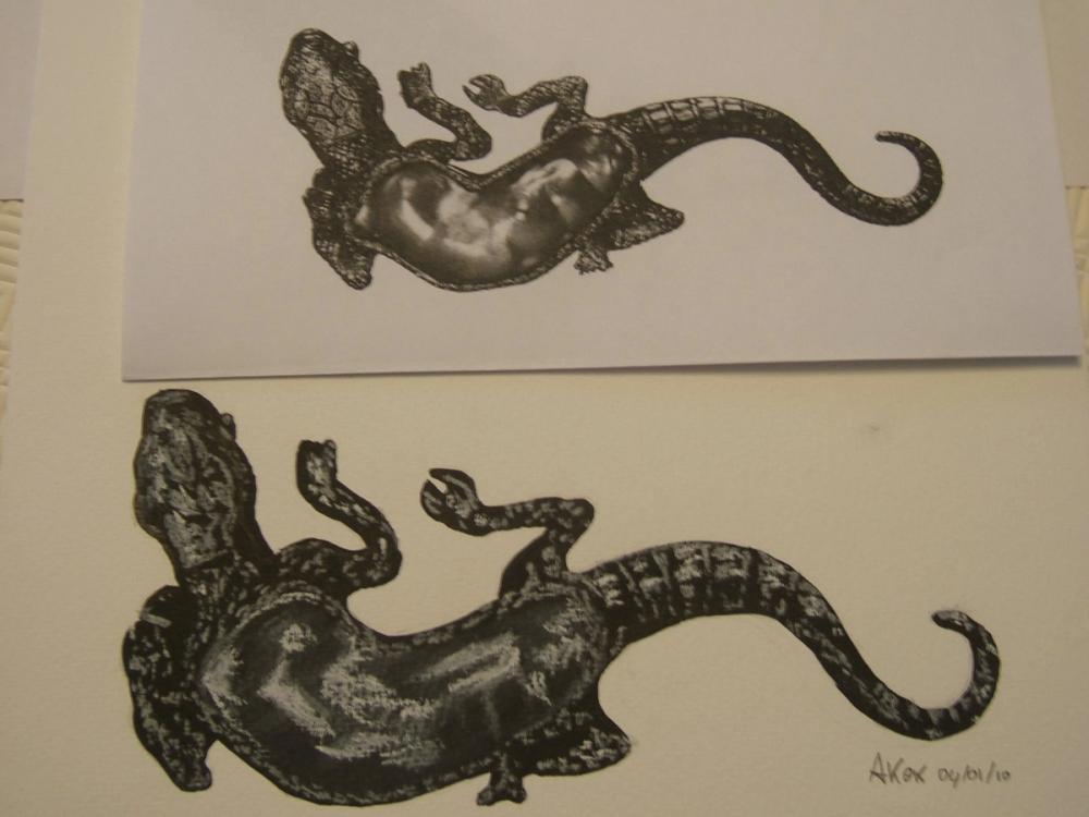 Lézard encre et craie blanche — Acrylique sur toile
