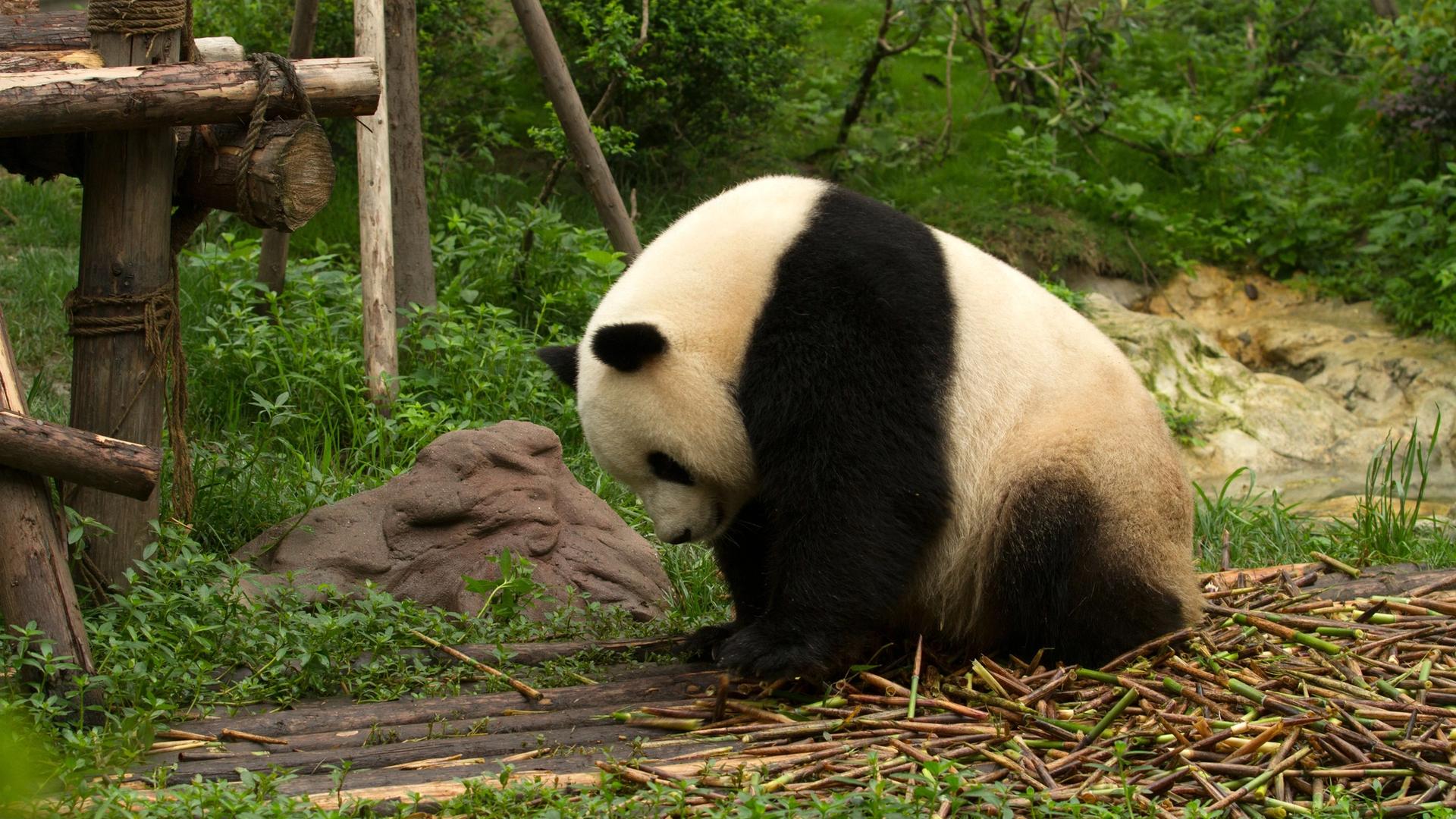 Sichuan, Southwest China