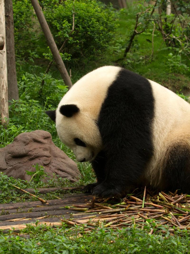 Sichuan, Southwest China