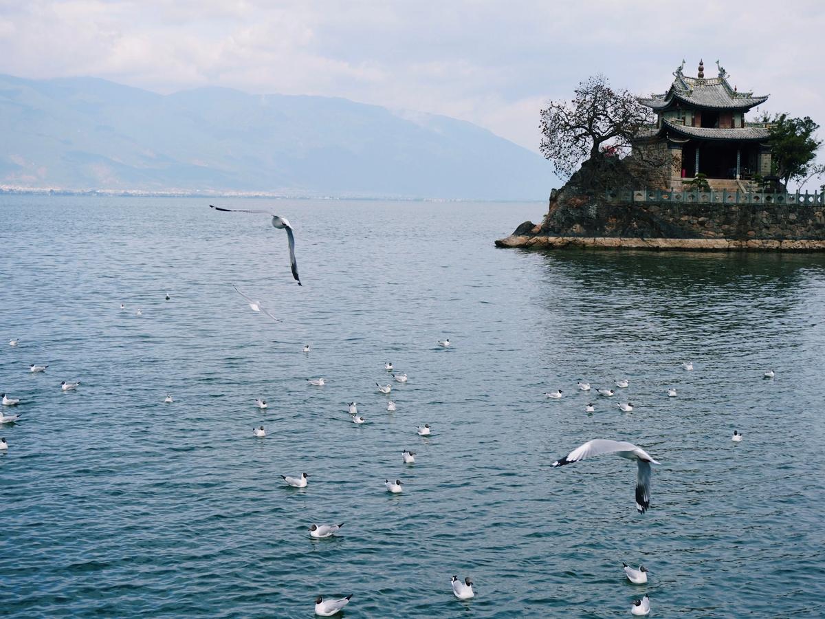 Where the Wind Meets the Snow: A Dali & Lijiang Romance