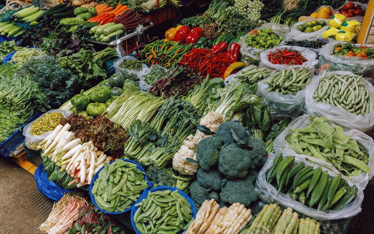 Tasting Geography: The Surprising Complexity of Yunnan’s Terroir, Coffee, and Wild Mushrooms