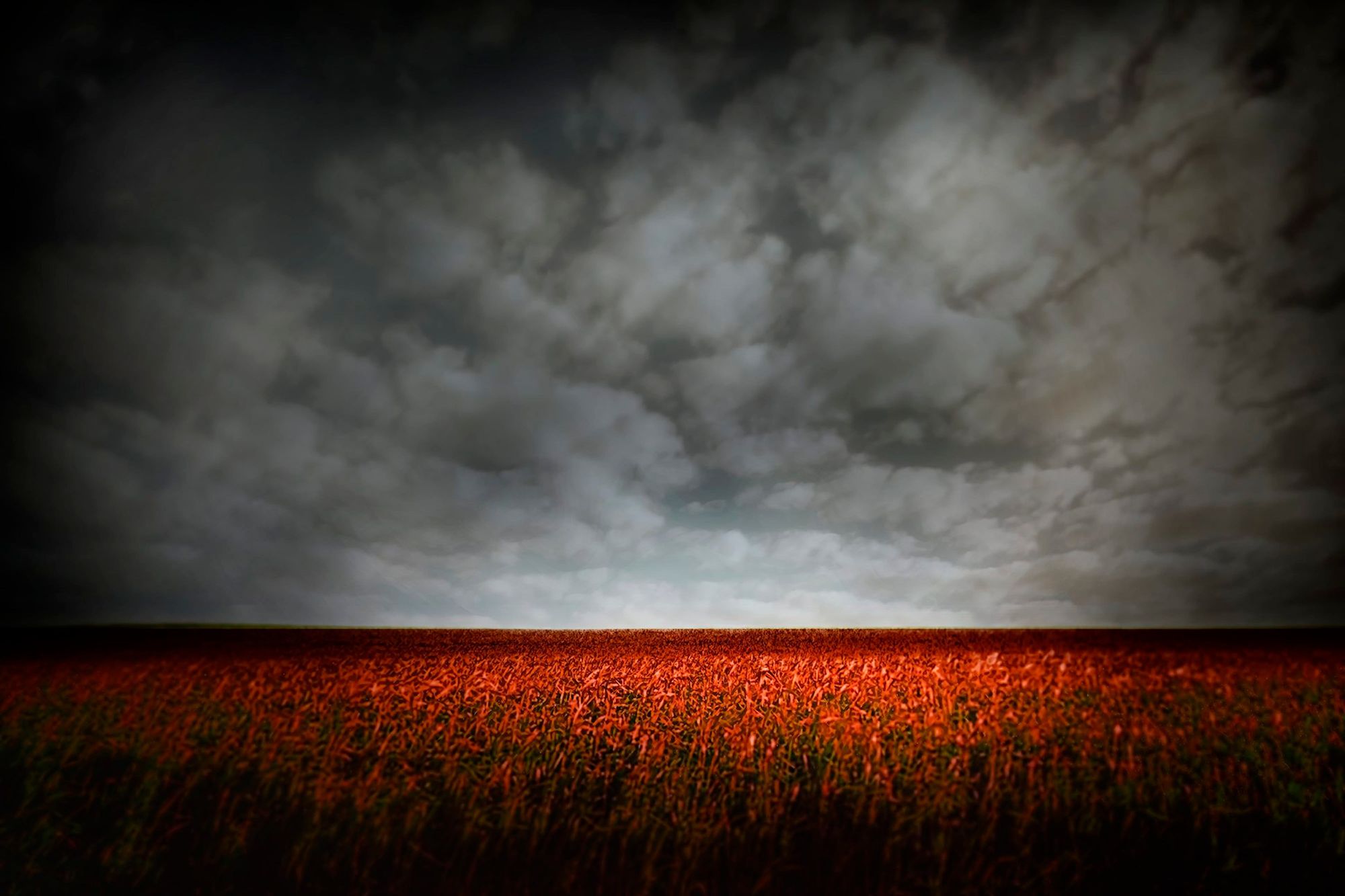 Strawberry Fields