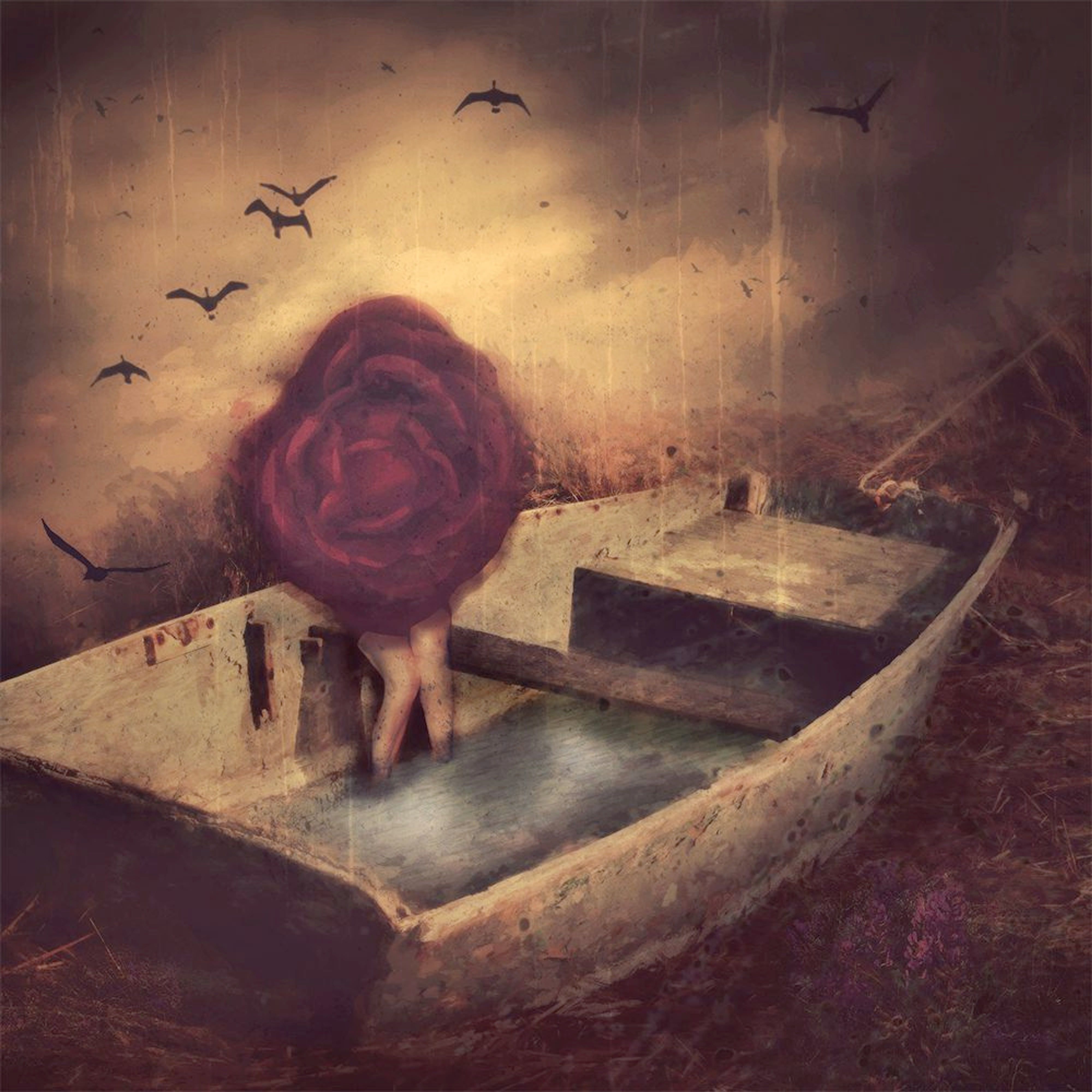 The Rose