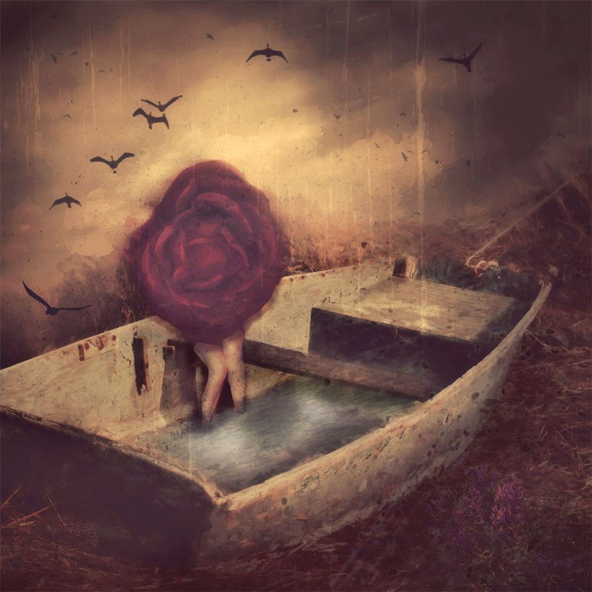 The Rose