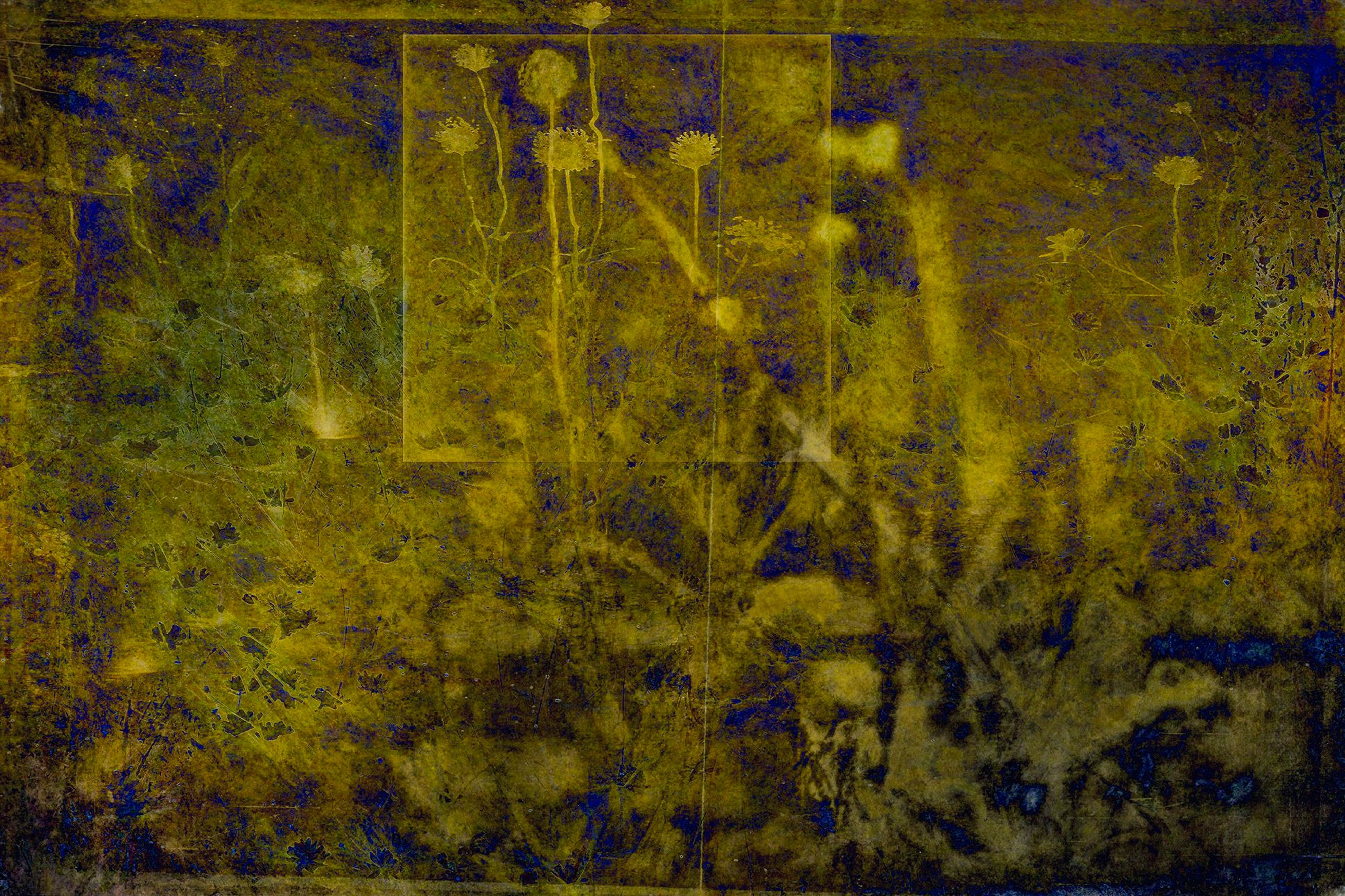 The Yellow Field