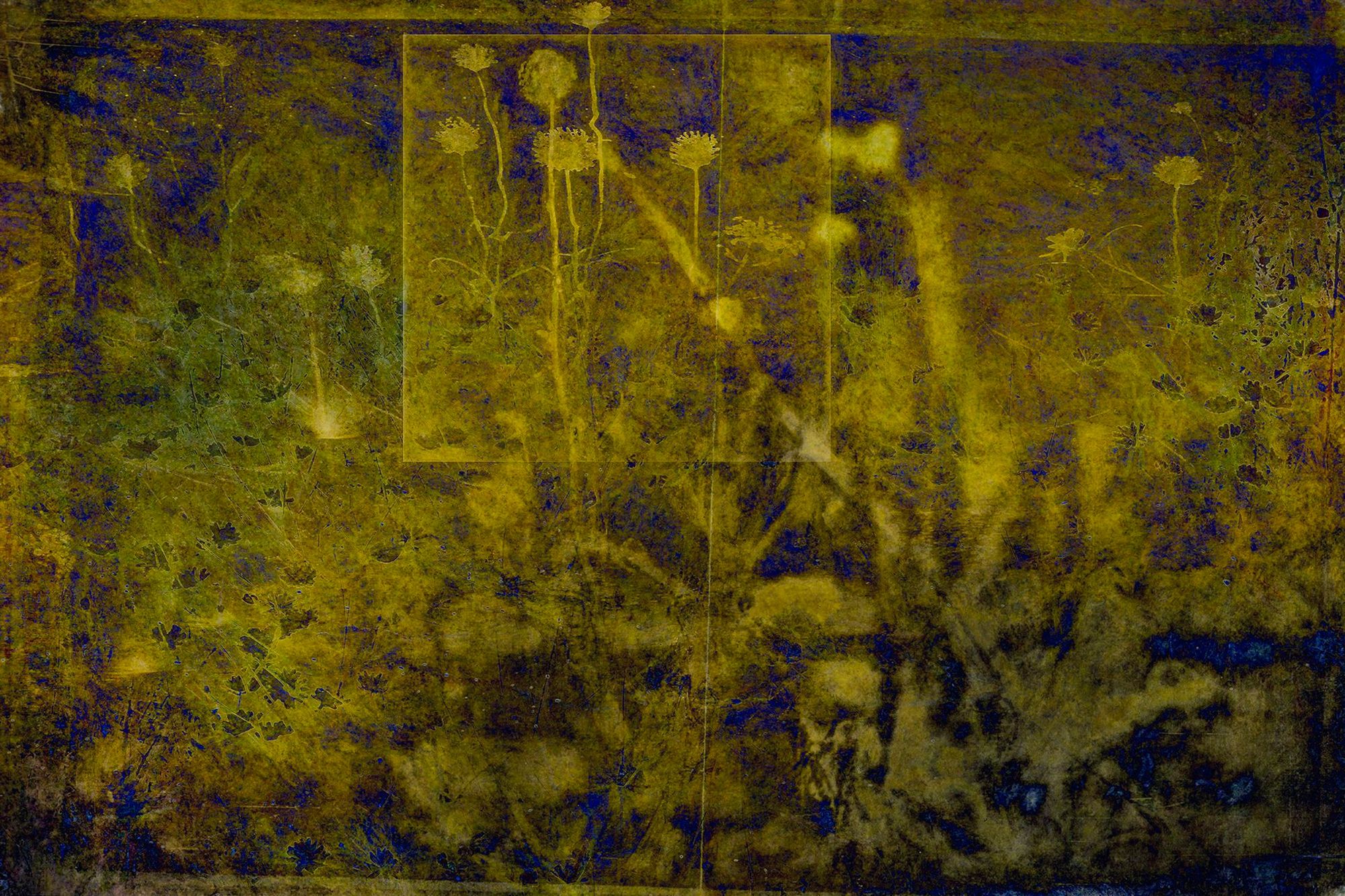The Yellow Field