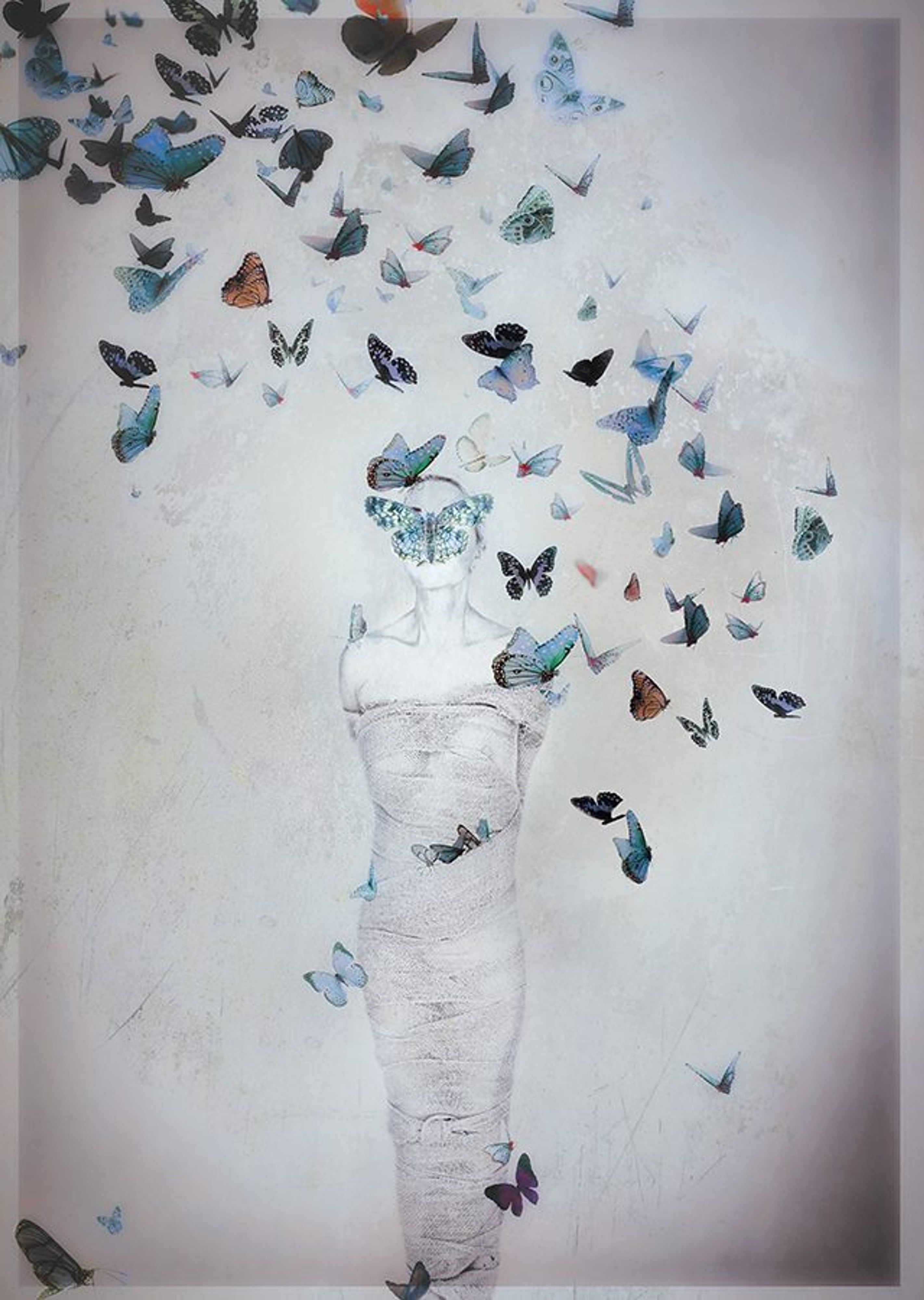 Butterflies