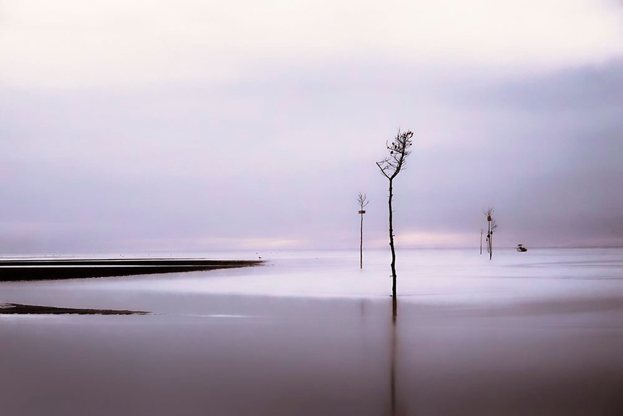 Etheral Trees