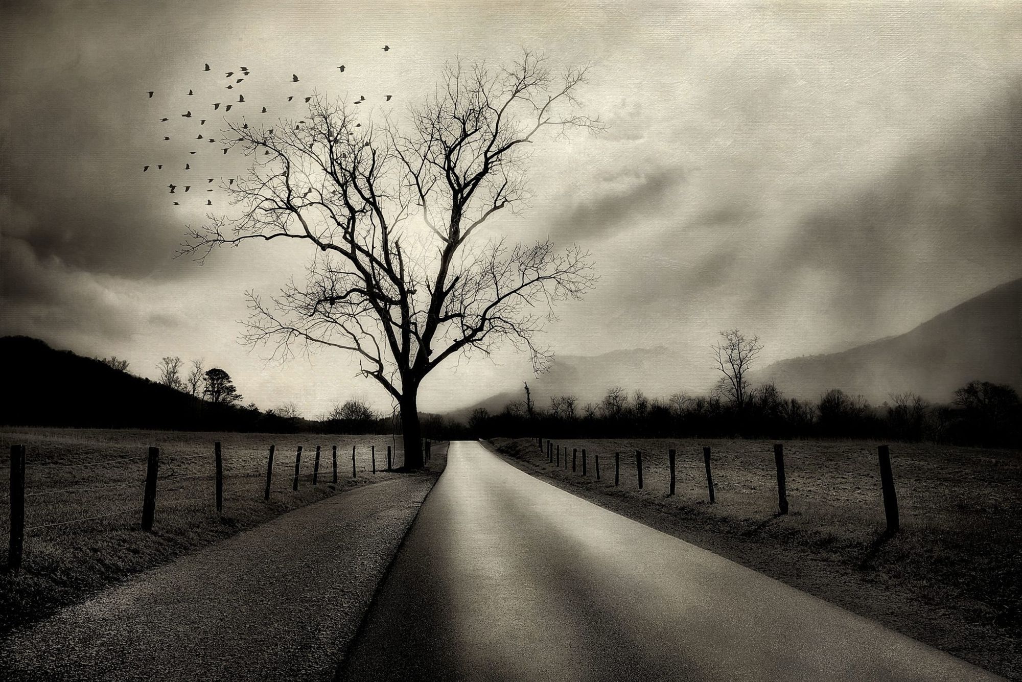 The Road Less Traveled