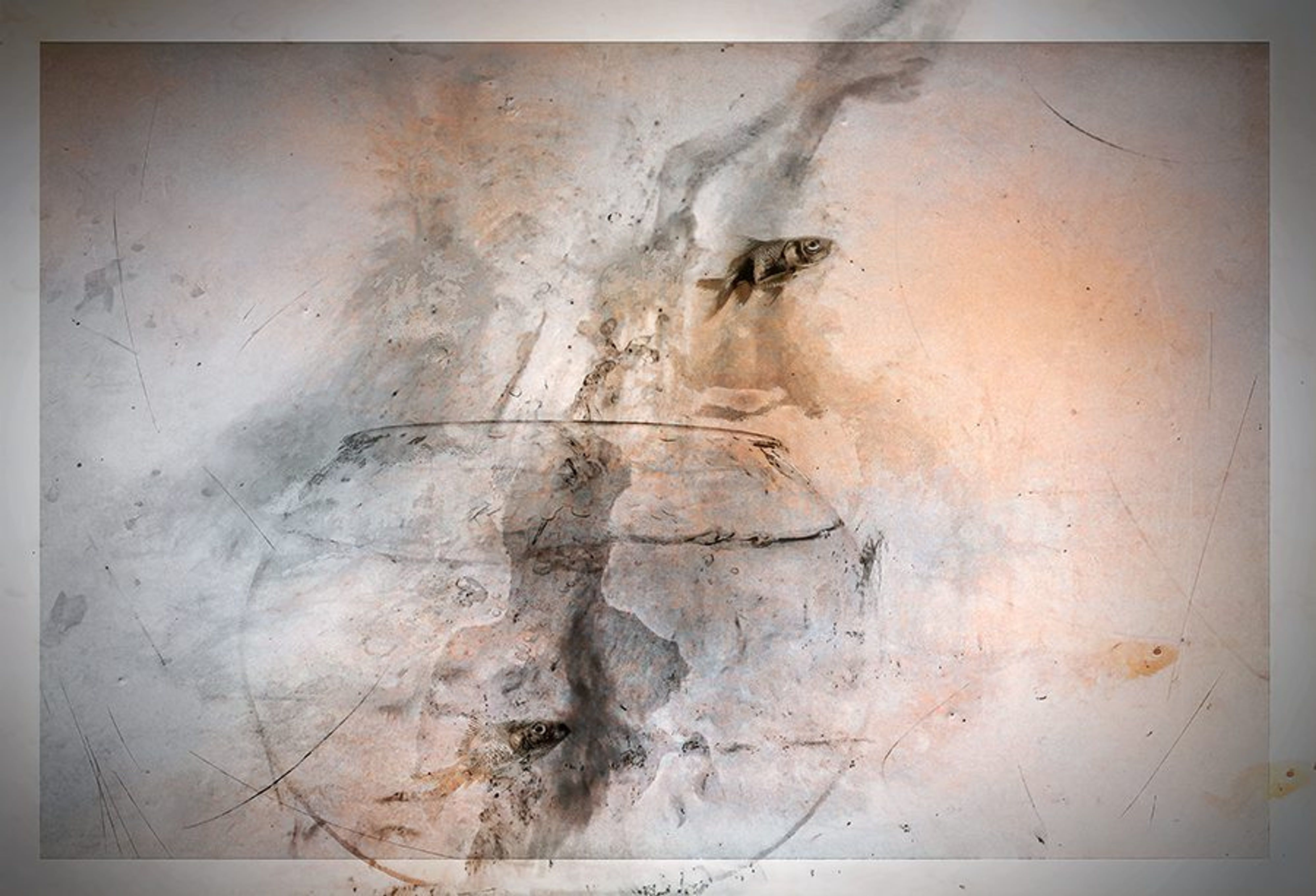 Fluid Perceptions