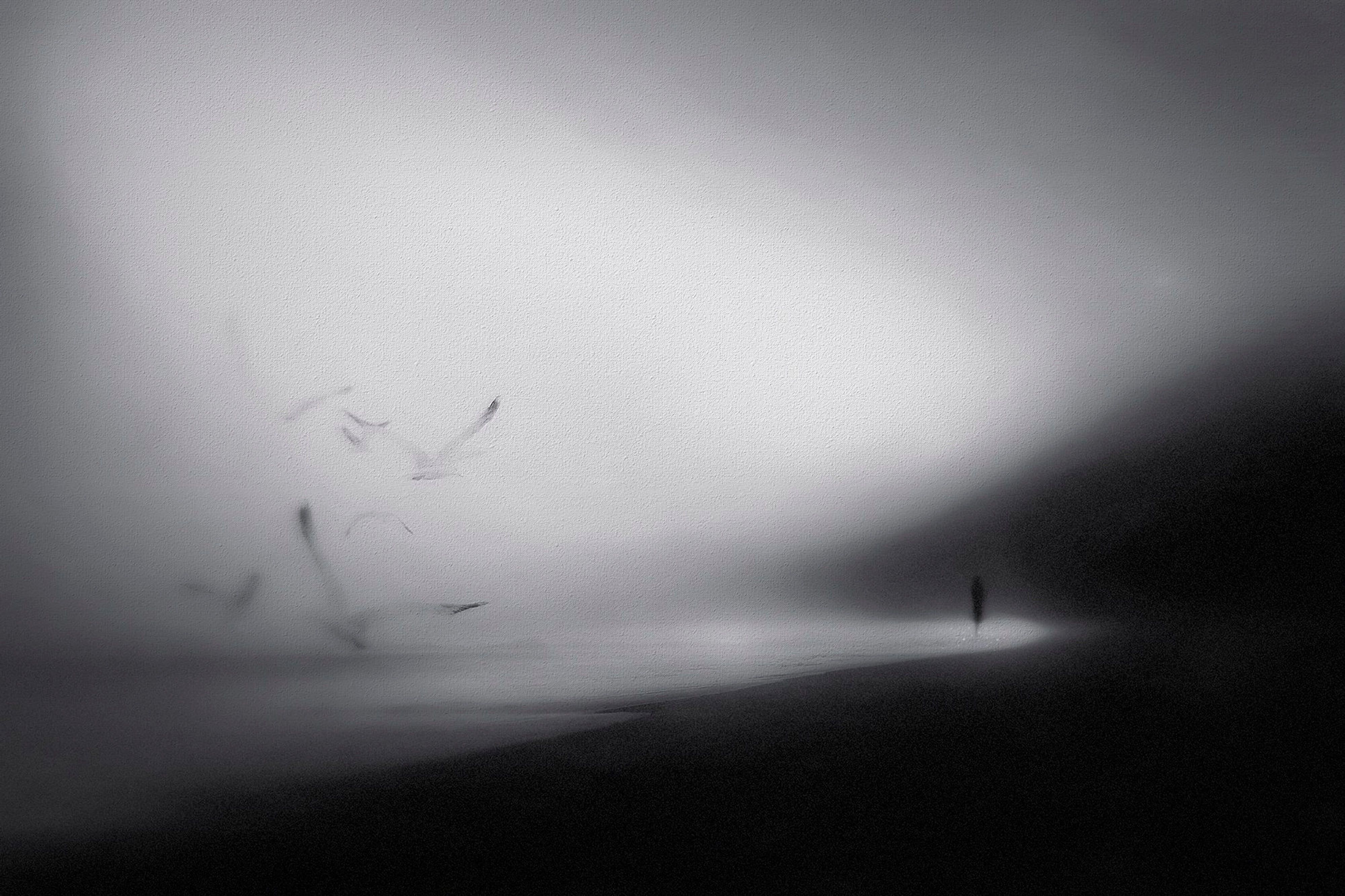 The Whispers of the Sea