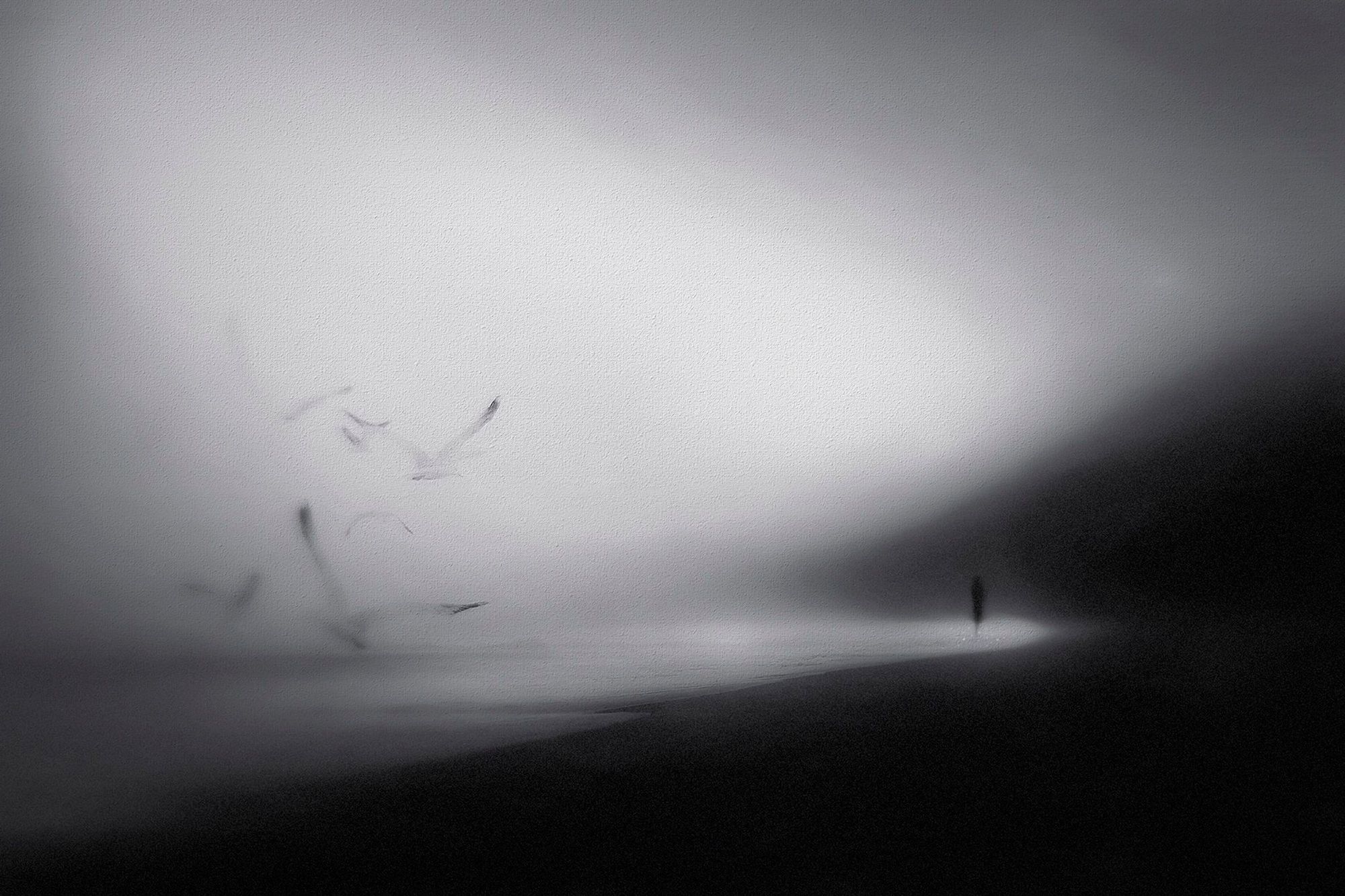 The Whispers of the Sea