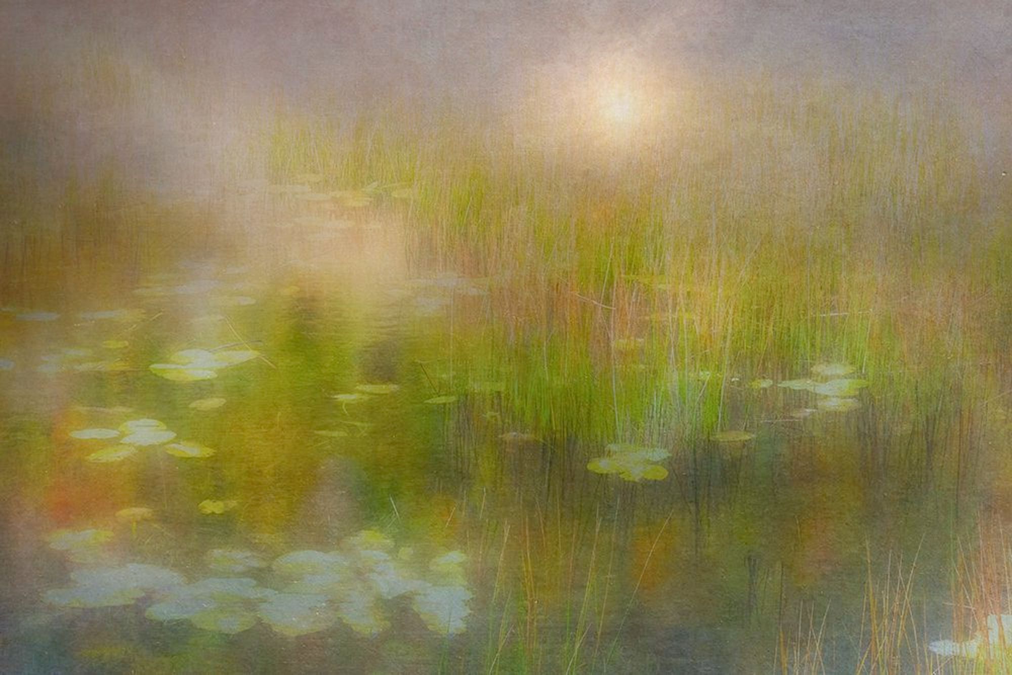 Lillypad Path