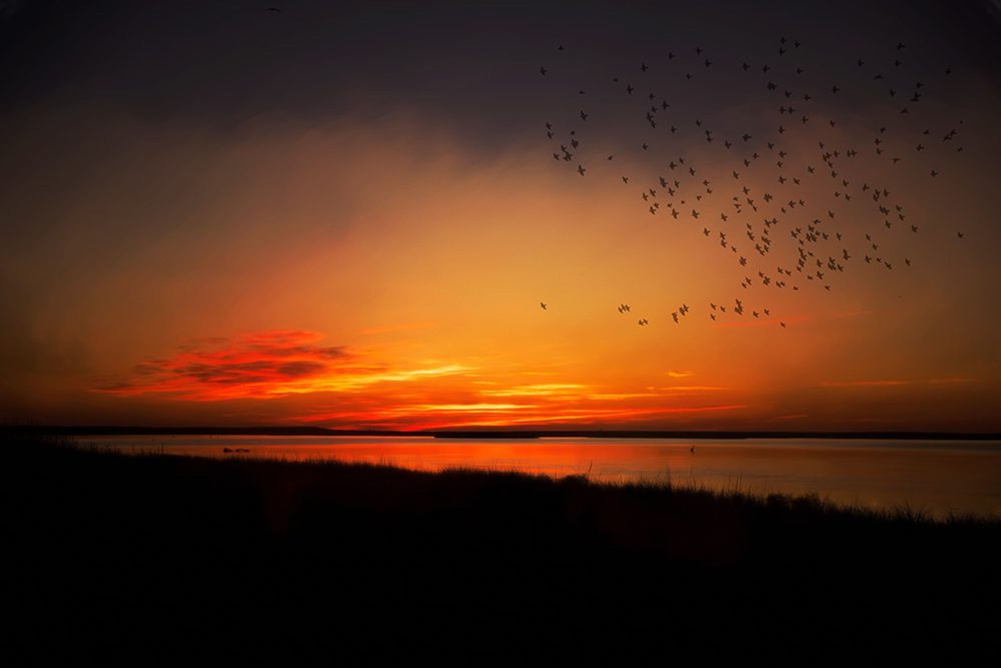 First Light