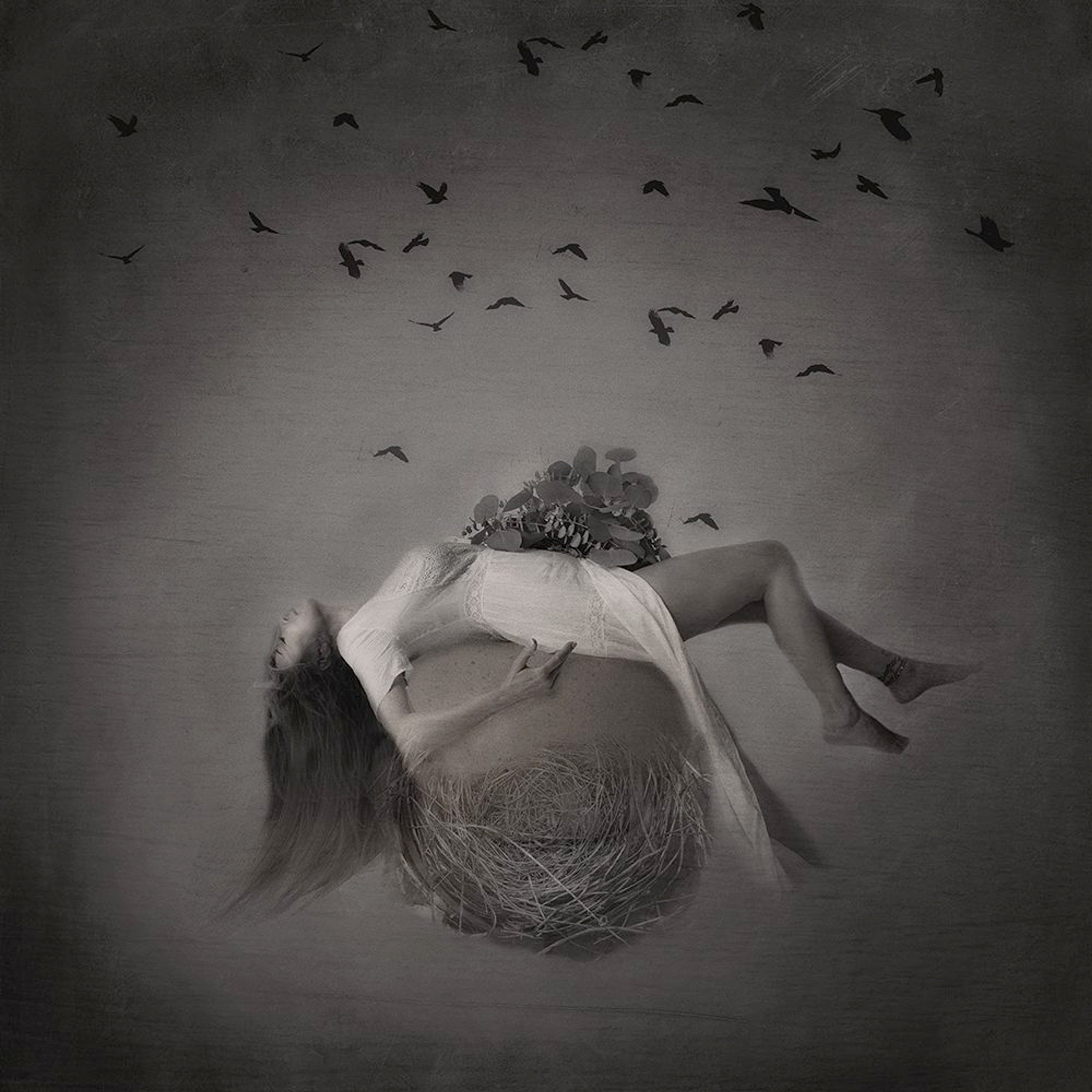 Rebirth