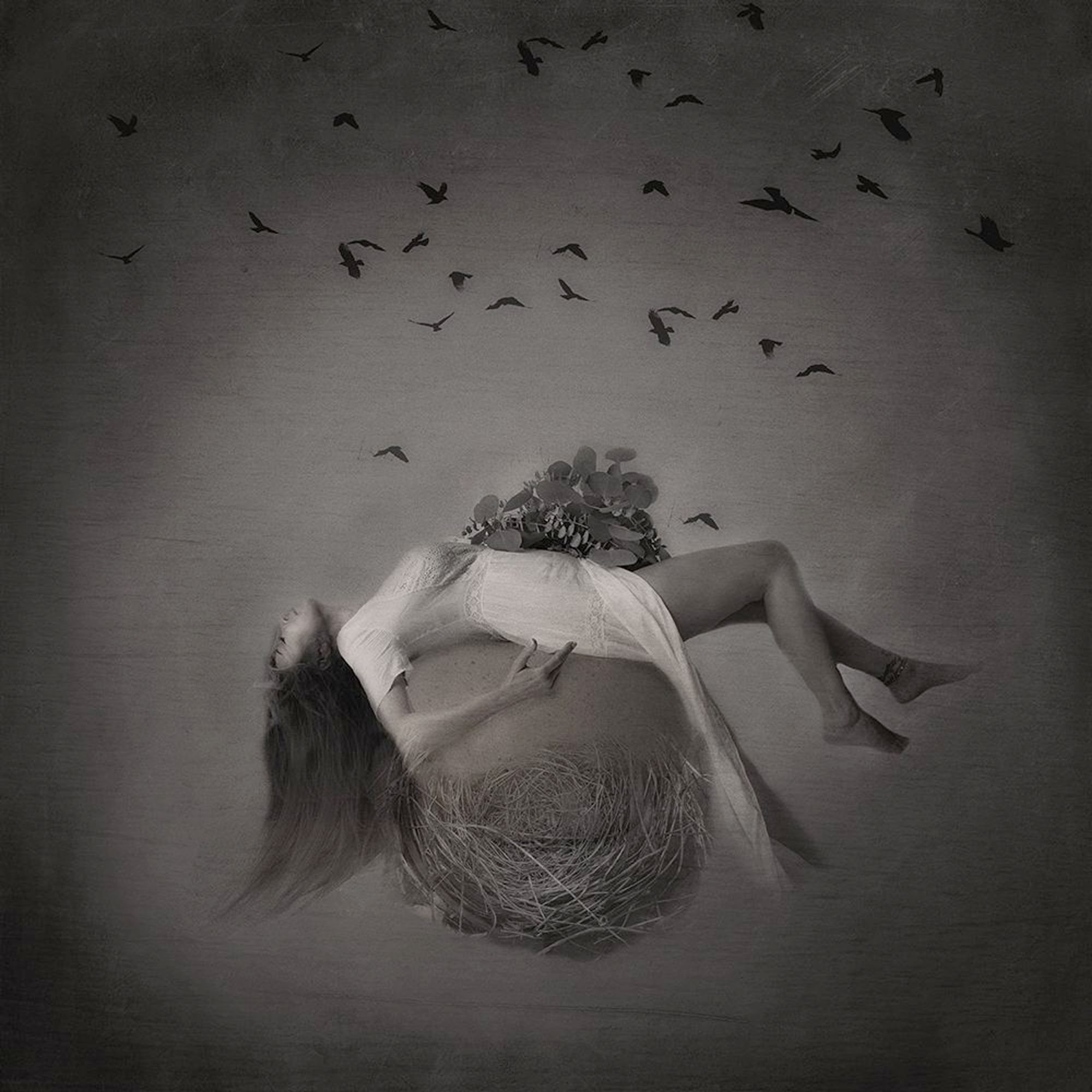 Rebirth