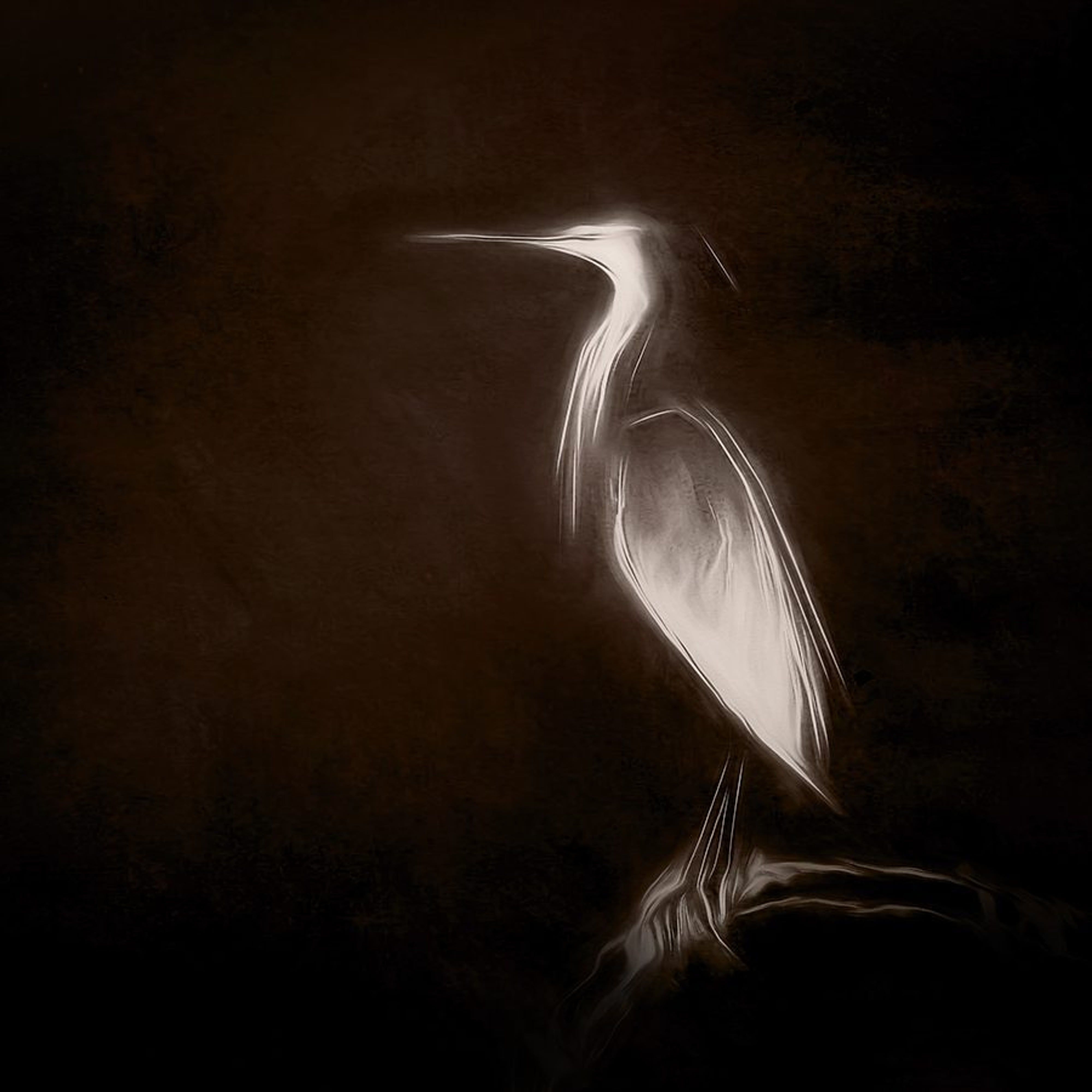 Great Snowy Egret
