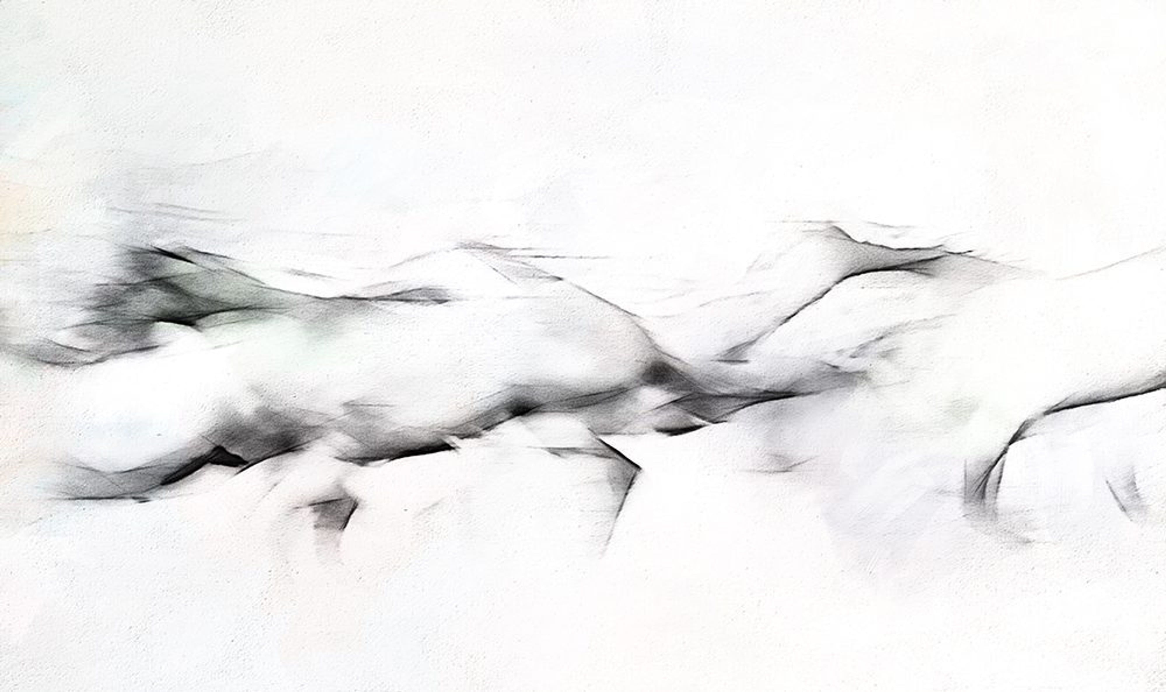 Wild and Free