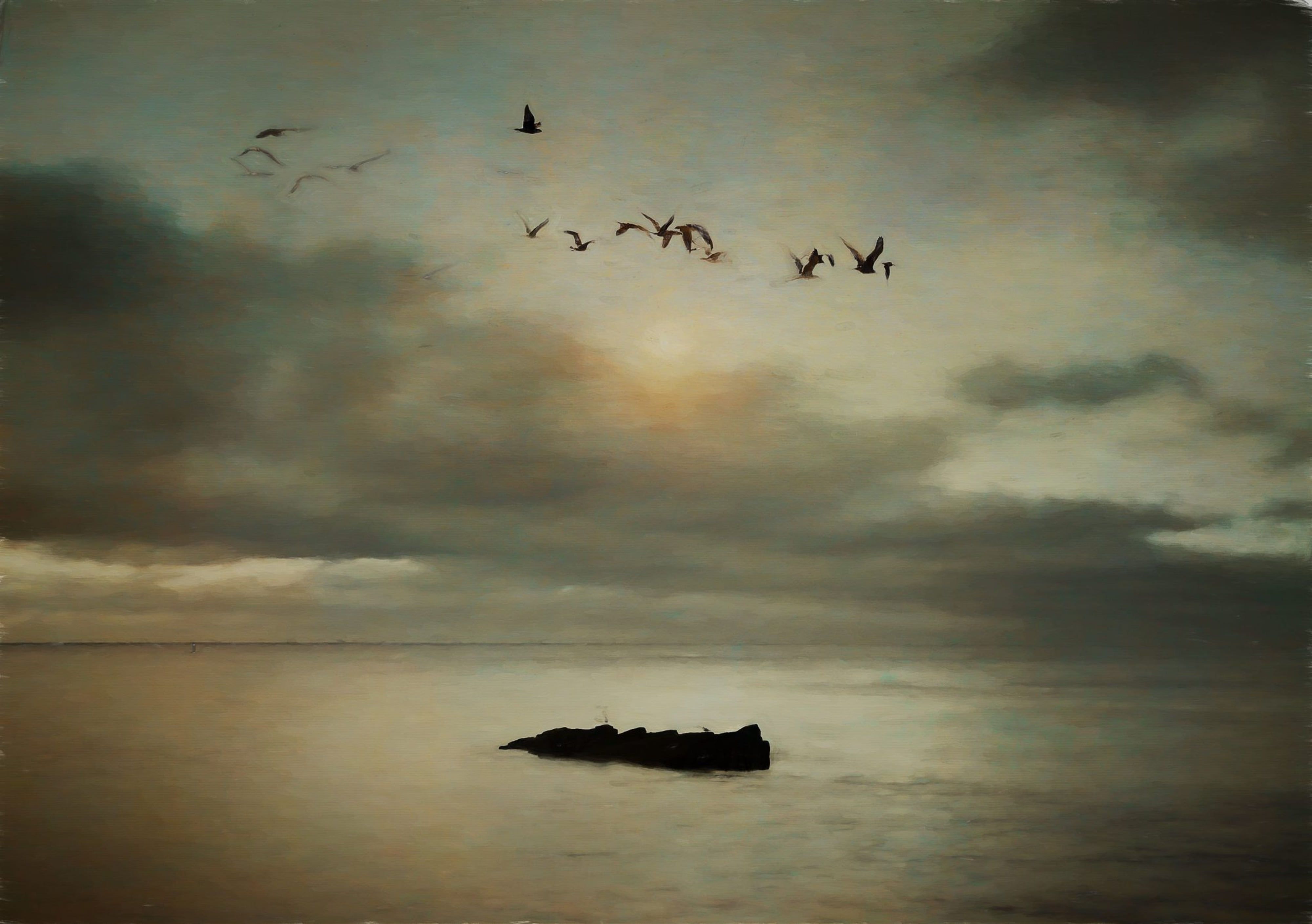 Island Rock