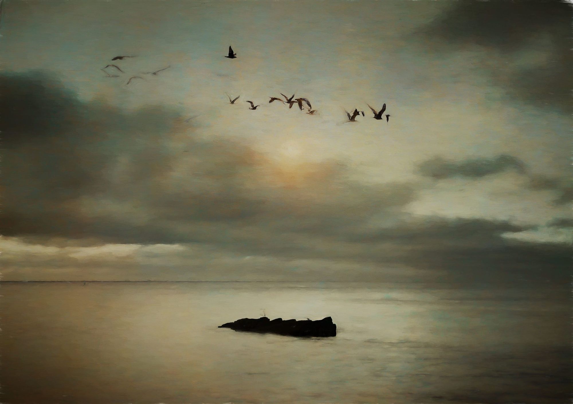 Island Rock