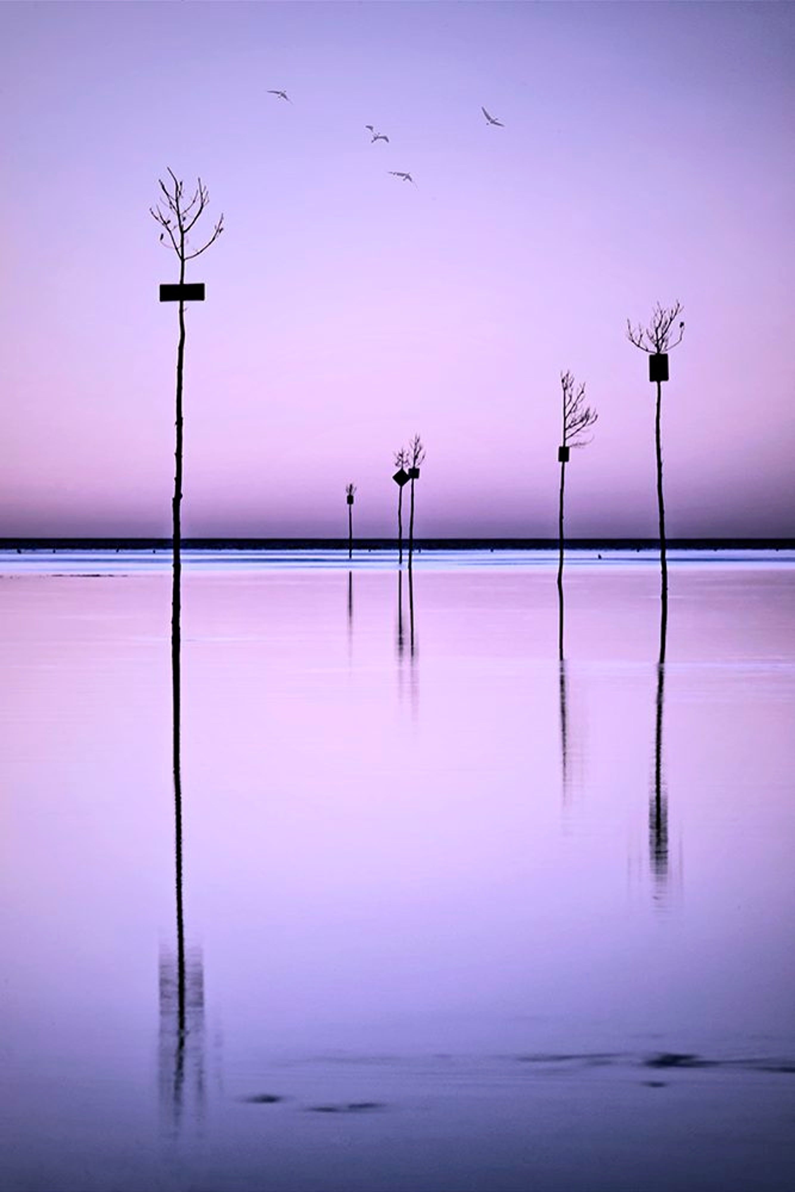 Dawn color