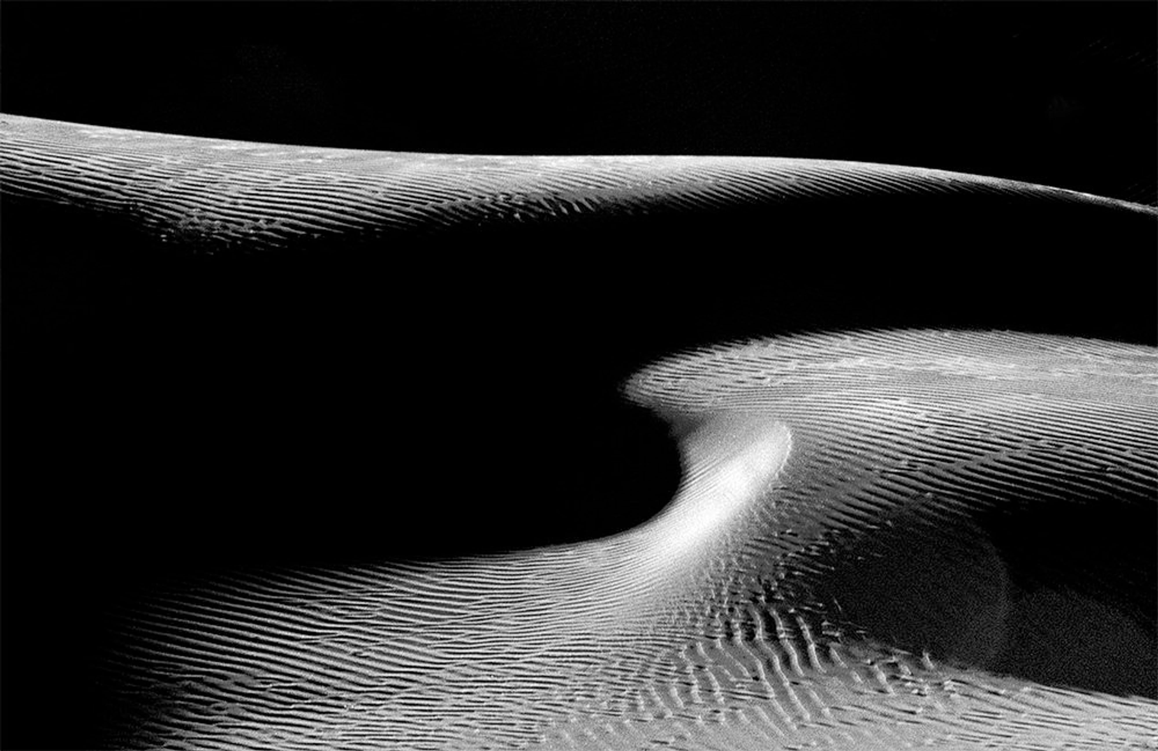 Dark Nude Dunes III