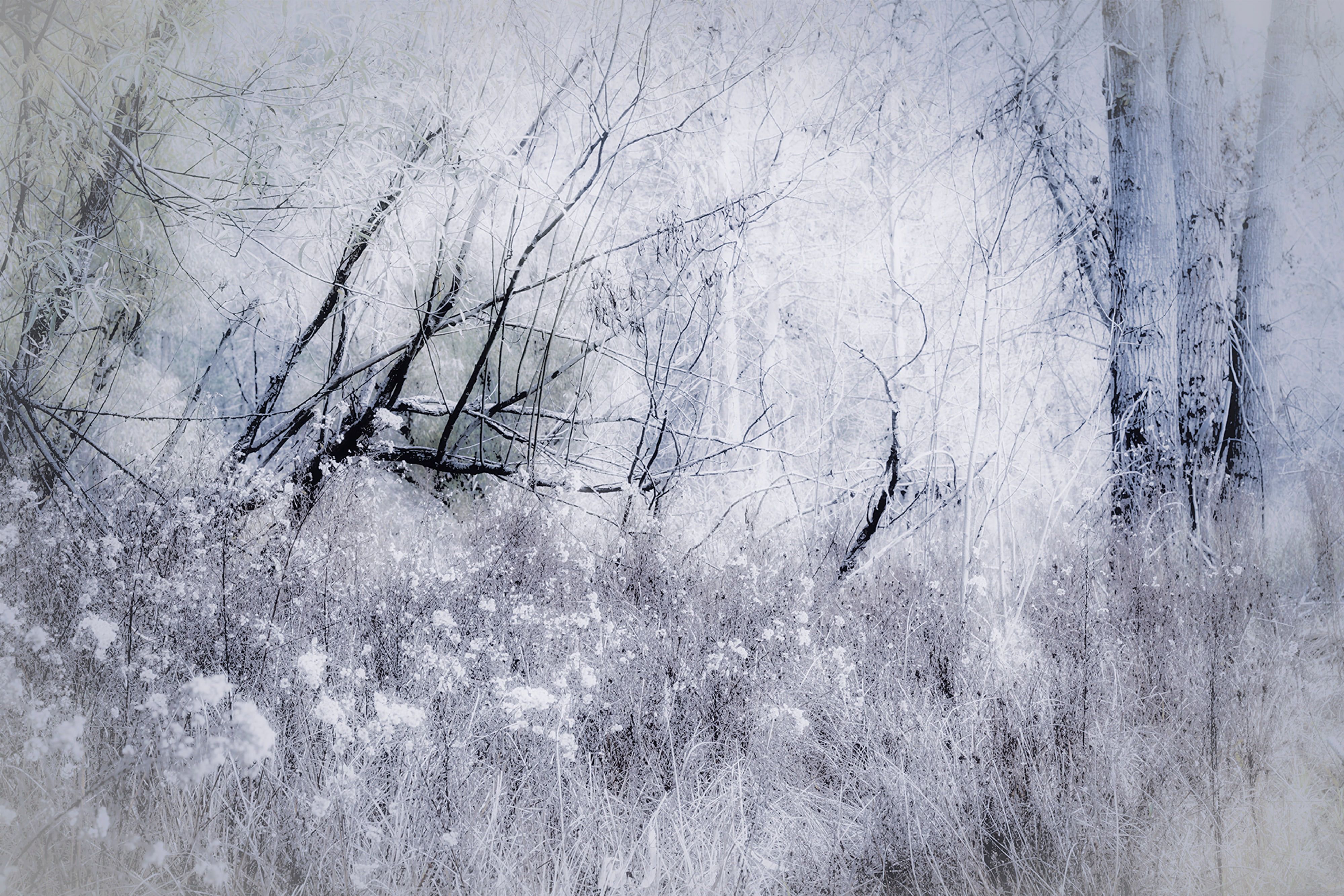 The Bleak Midwinter