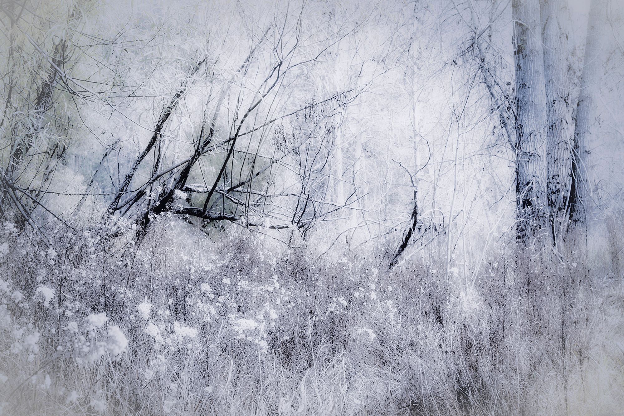 The Bleak Midwinter