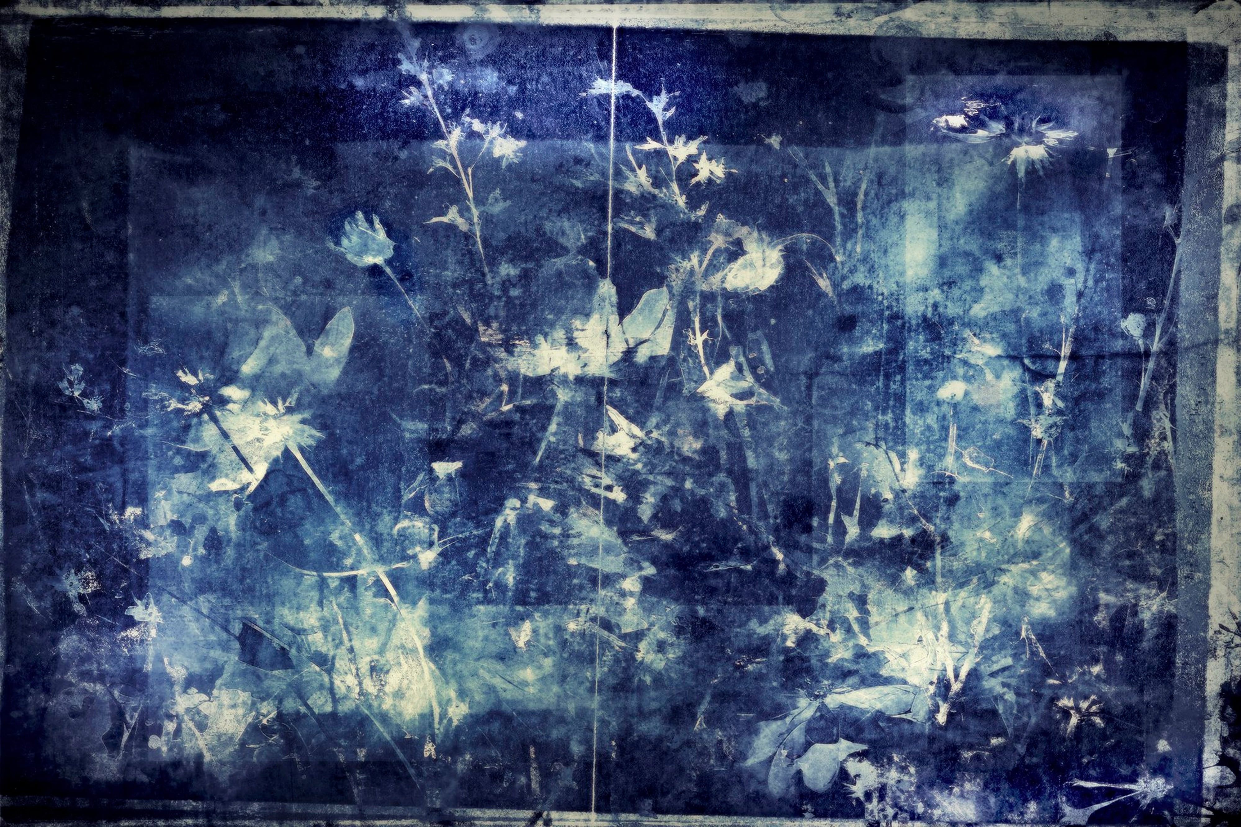 The Blue Field