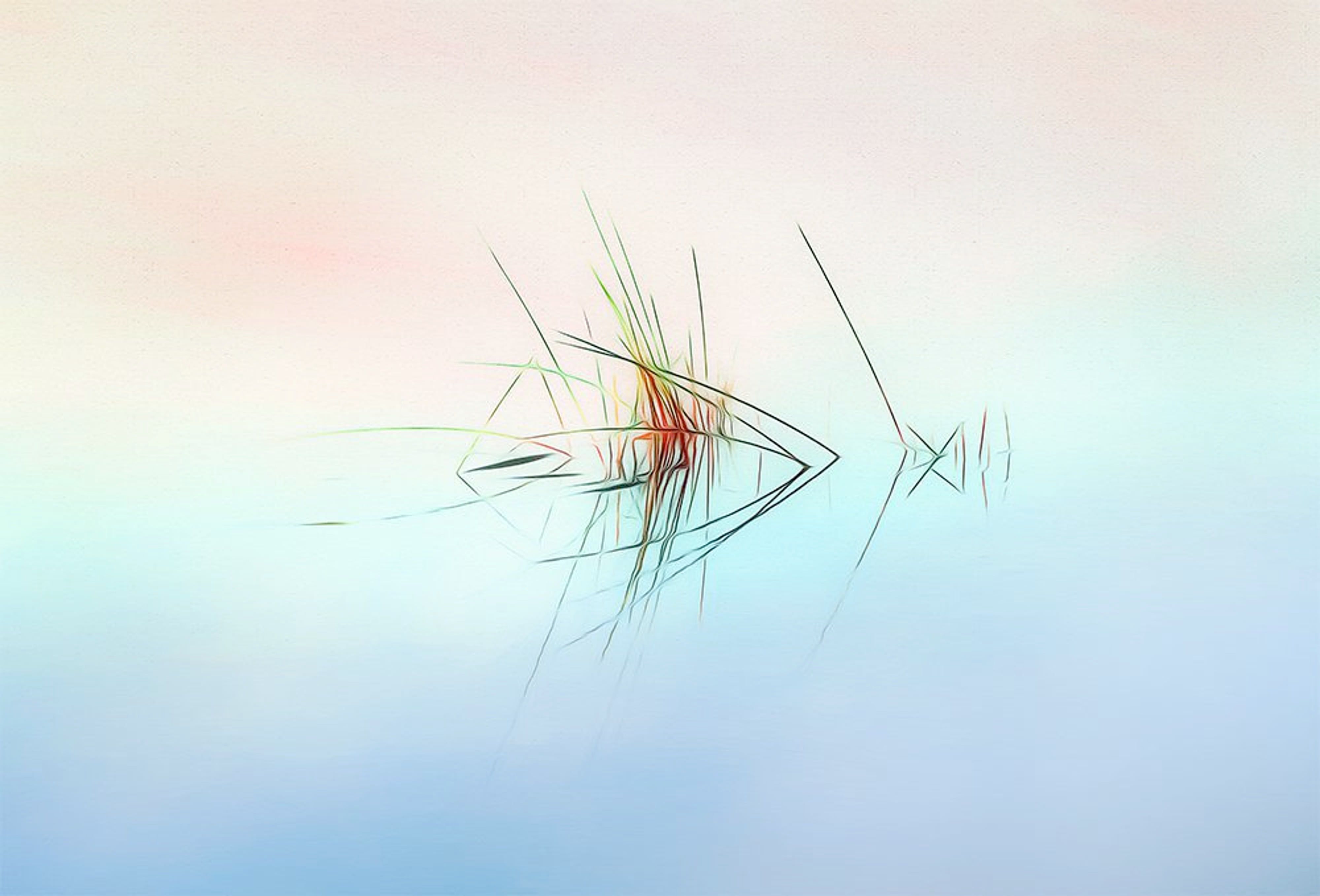 Reeds