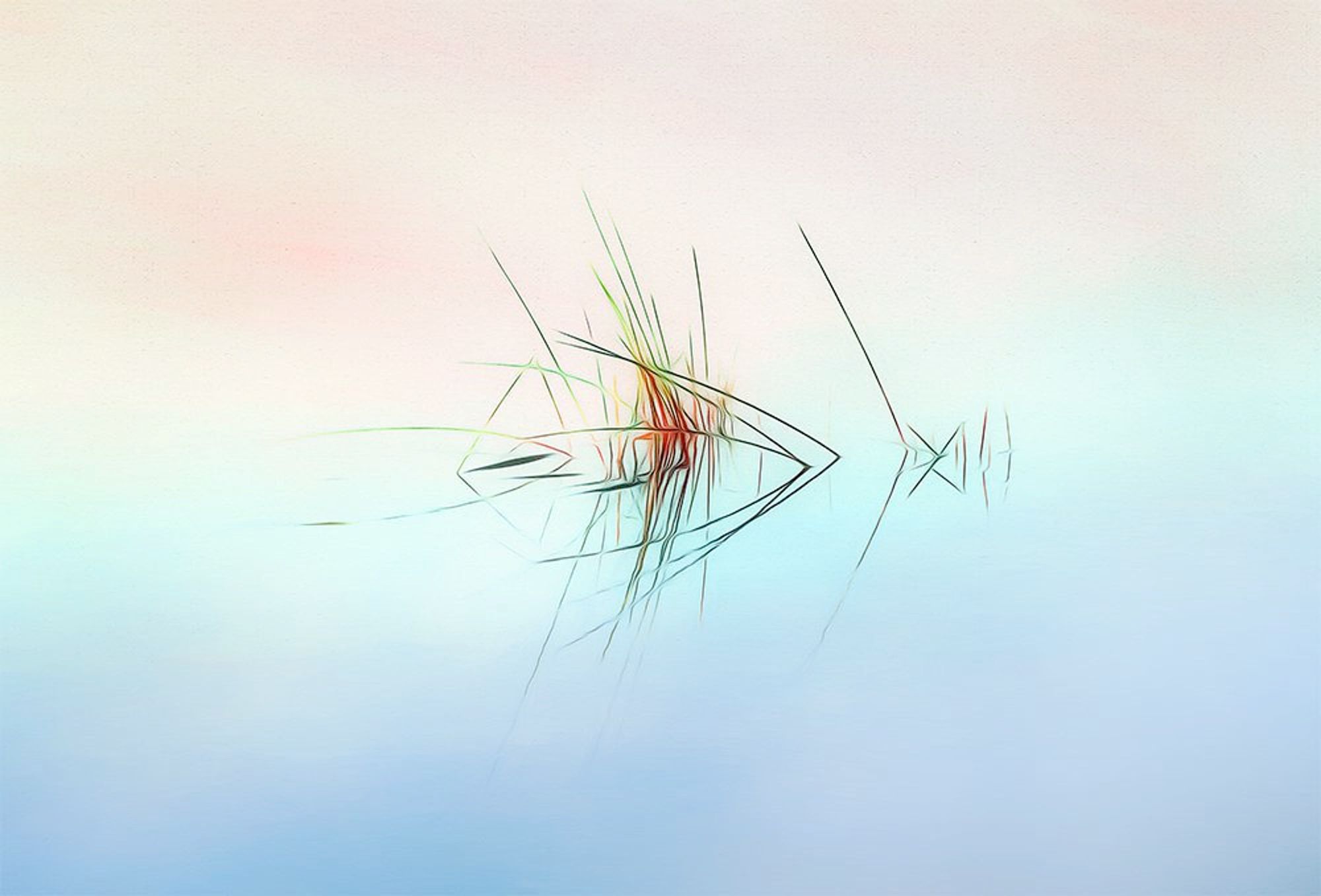 Reeds