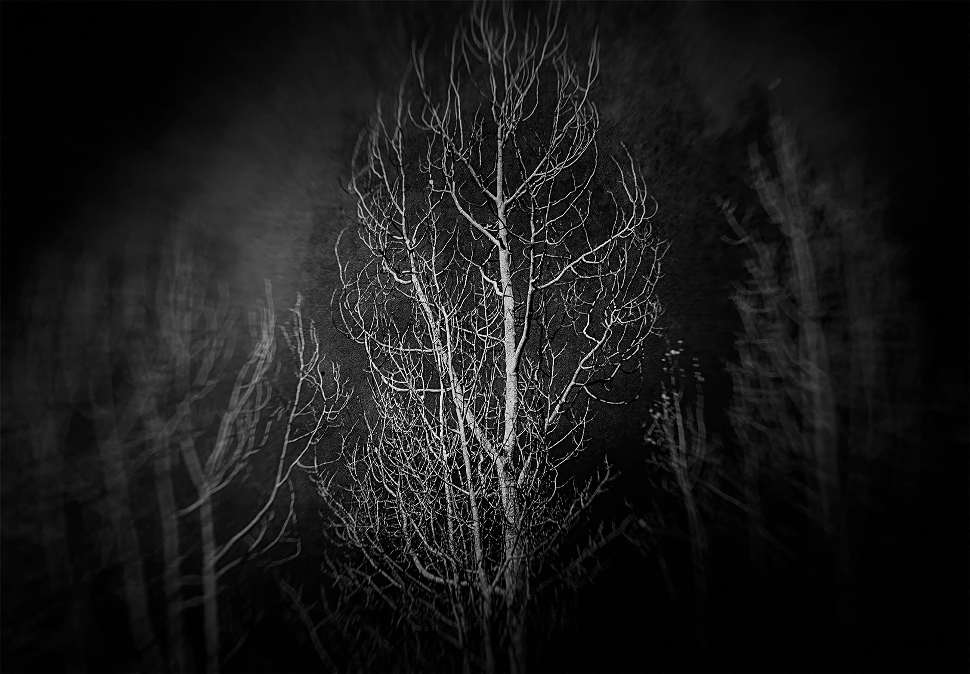 In The Shadows