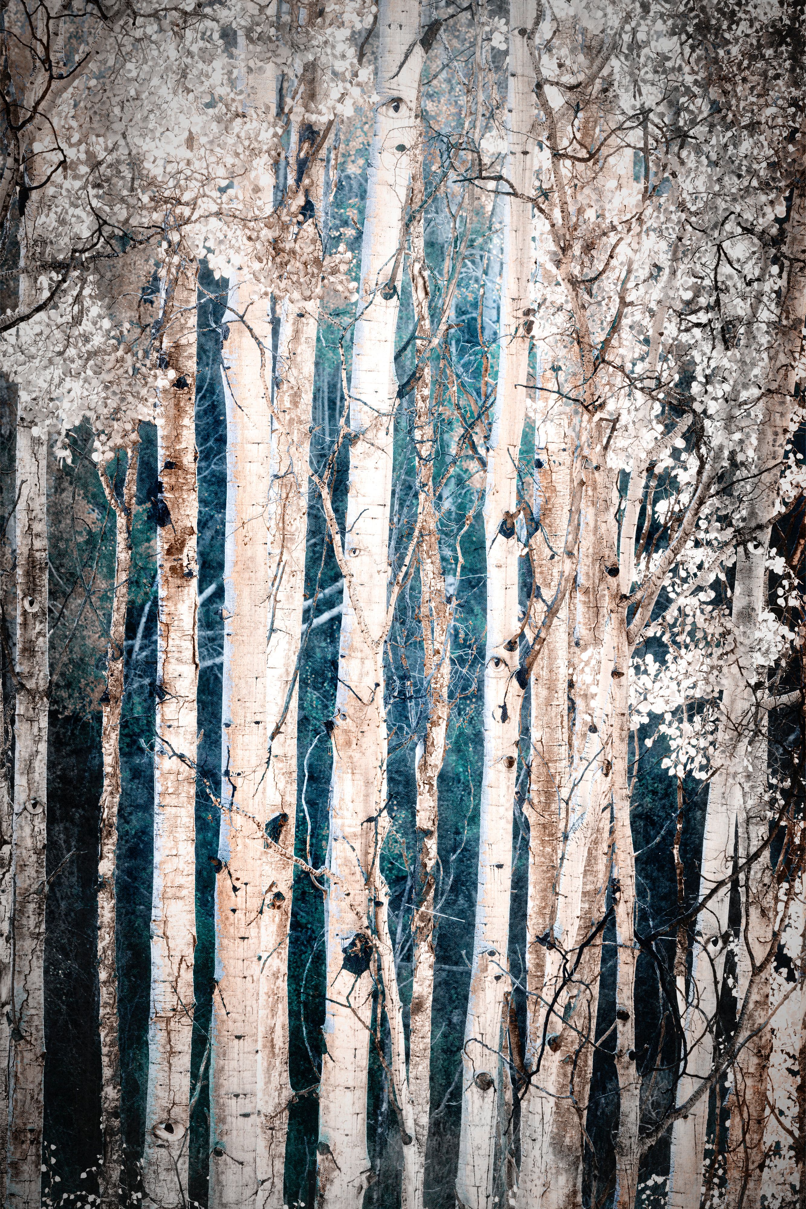 TheEnchanted Forest