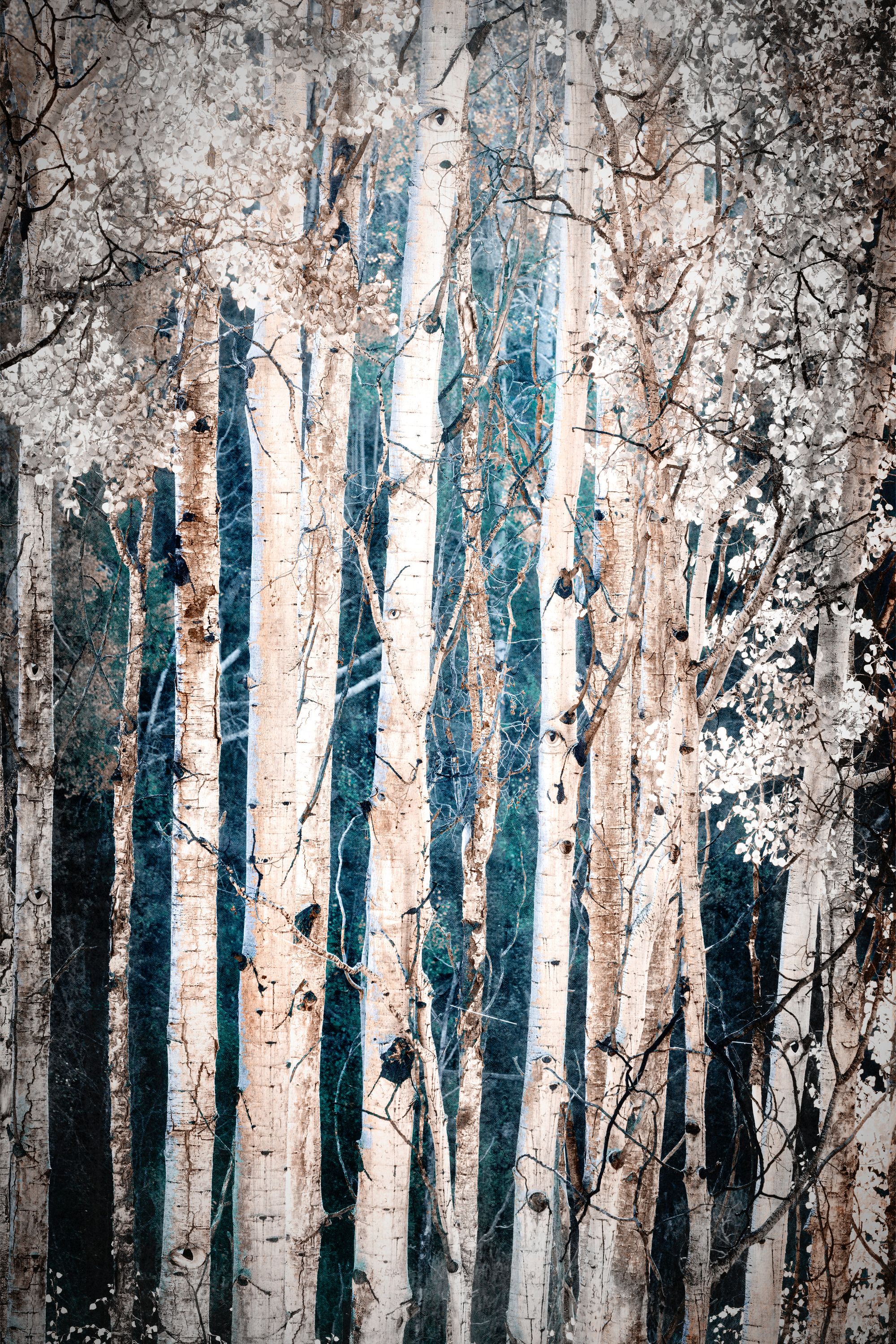 TheEnchanted Forest