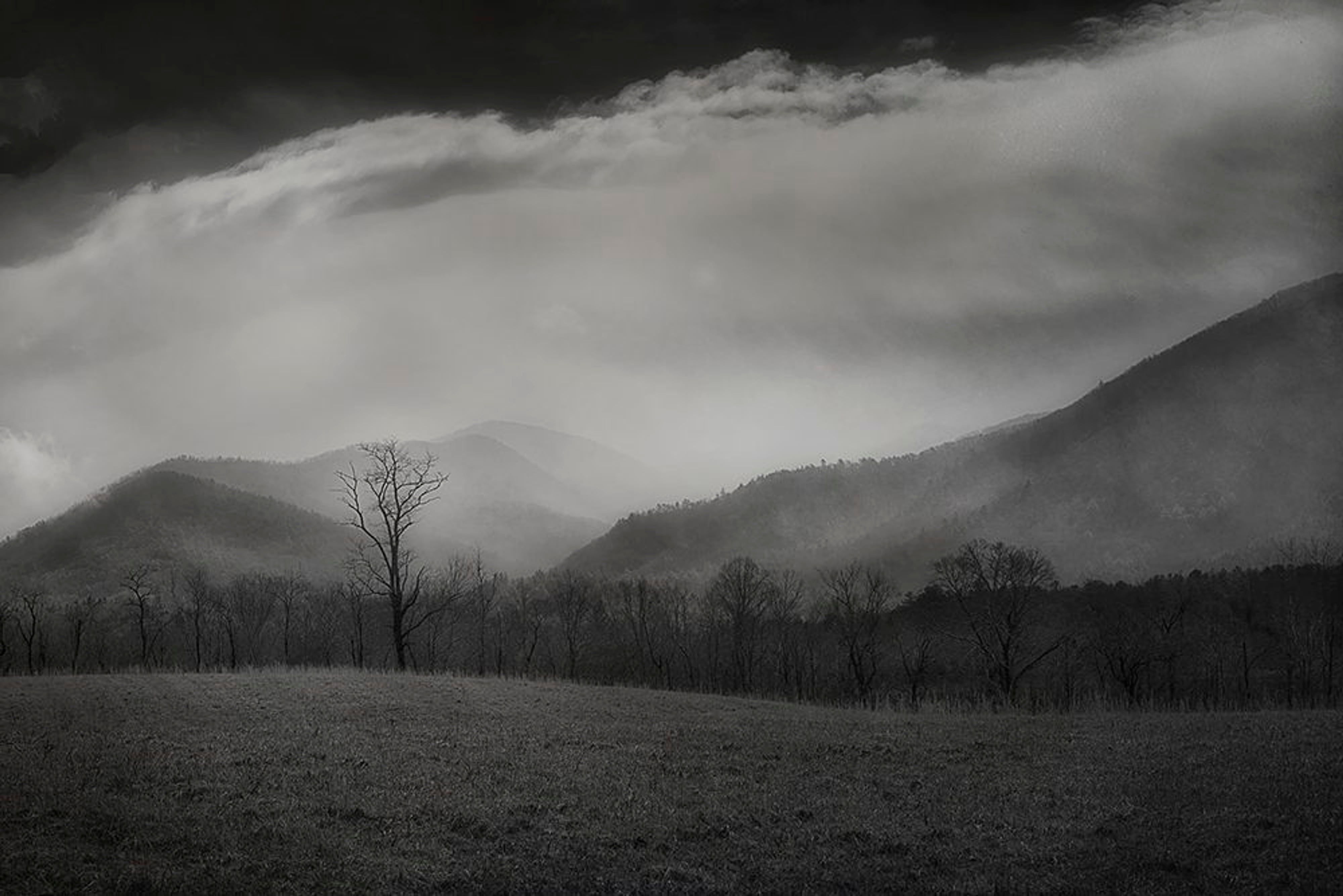 Fog