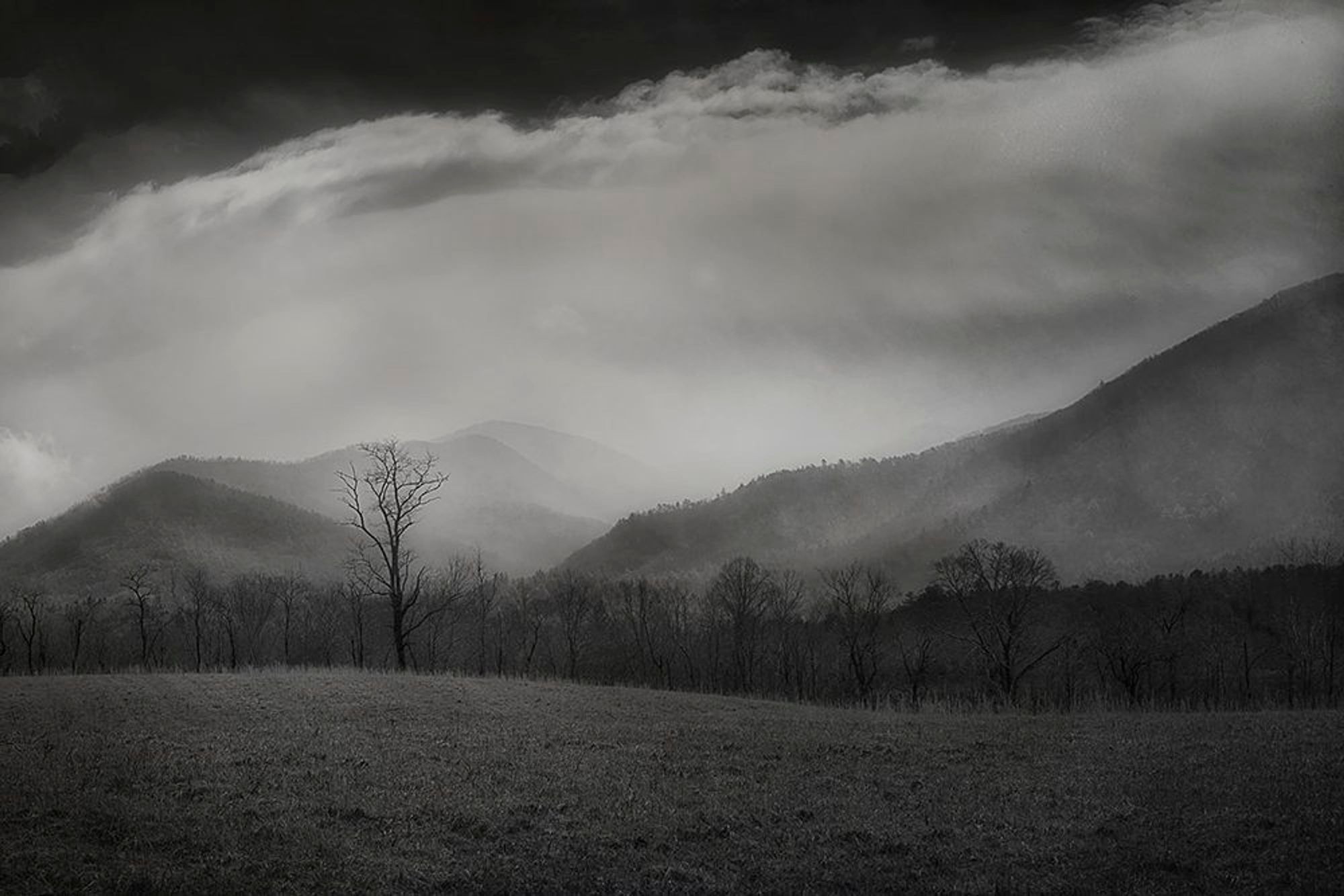 Fog