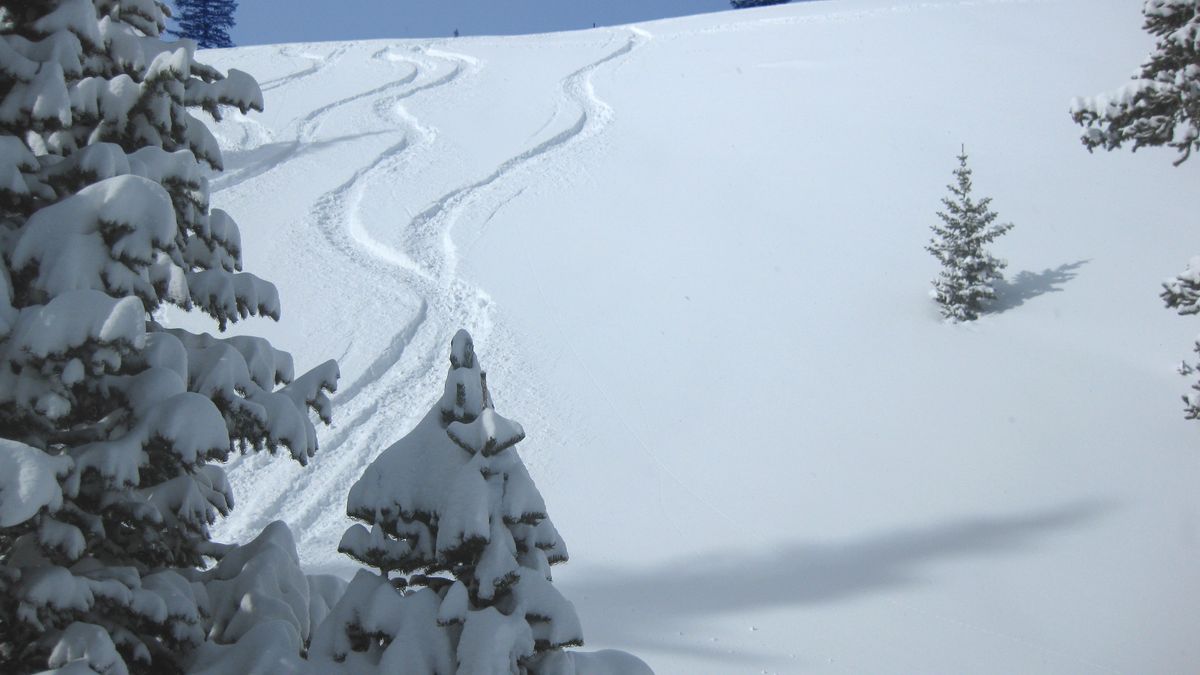 Powder Day Living: Choosing a Home Around Mountain Access – My tracks in Garrett Gulch, after 8 inches of new snow - panoramio