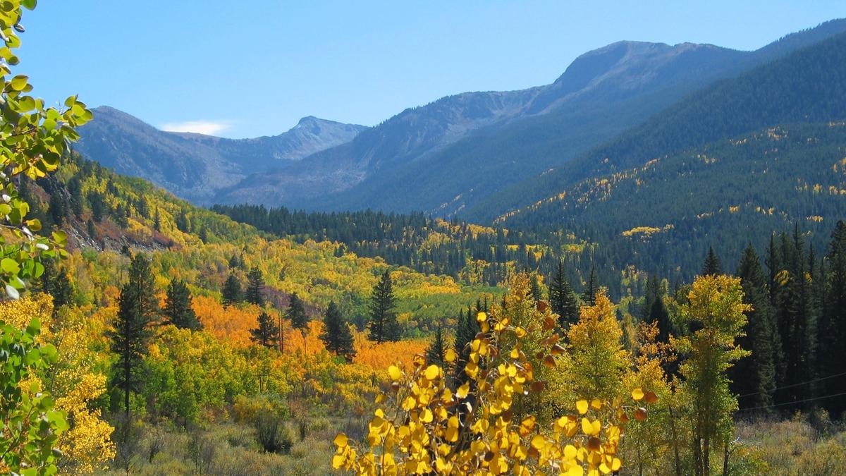 Buying Land or a Teardown in Aspen: Due Diligence Checklist – Top of the Rockies - Roaring Fork Valley East of Aspen - NARA - 7722452