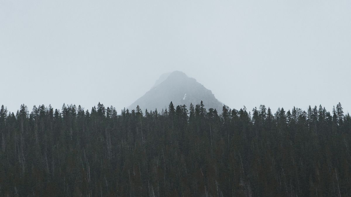 Off-Market Aspen Real Estate: What Buyers Should Know – Tall mountain behind the woods (Unsplash)
