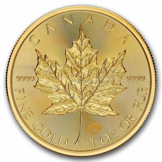 1 oz Gold Maple Leaf coin