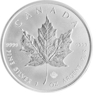 1 oz Silver Maple Leaf coin