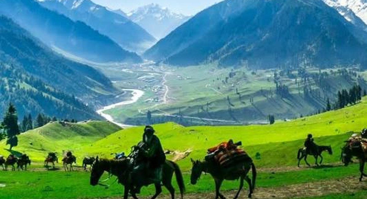 Kashmir Honeymoon Packages: Complete Guide for Couples