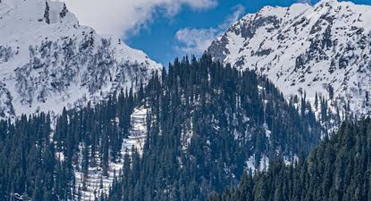 Kashmir Travel Guide for First Time Travelers Everything You Need to Know