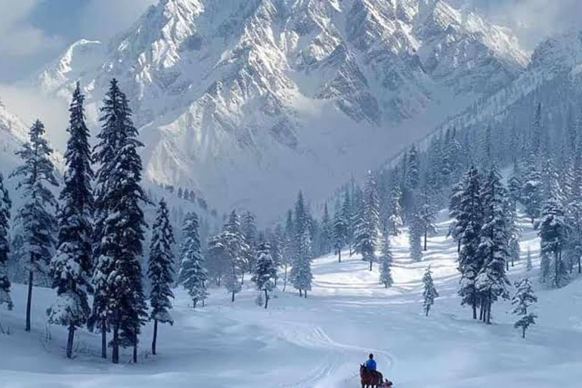 Kashmir Paradise Tour Package from Delhi 6 Nights 7 Days