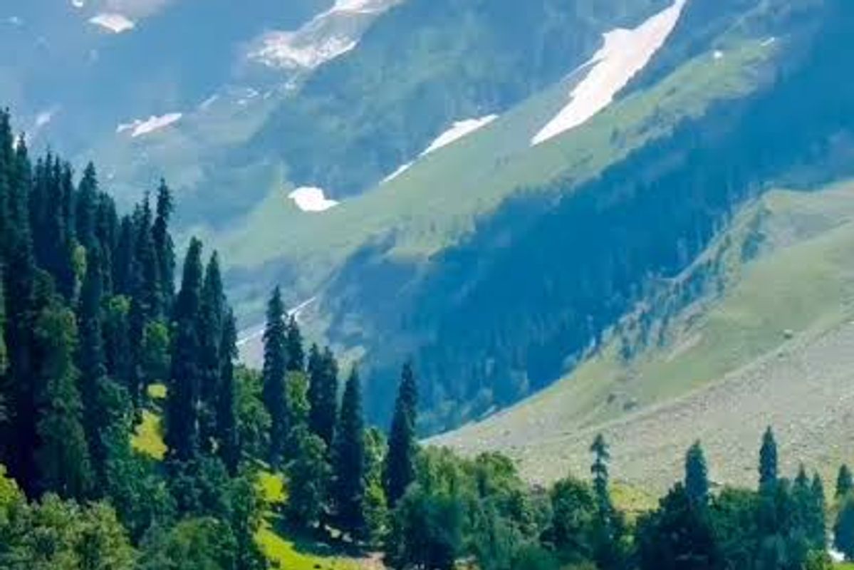 Pahalgam Valleys