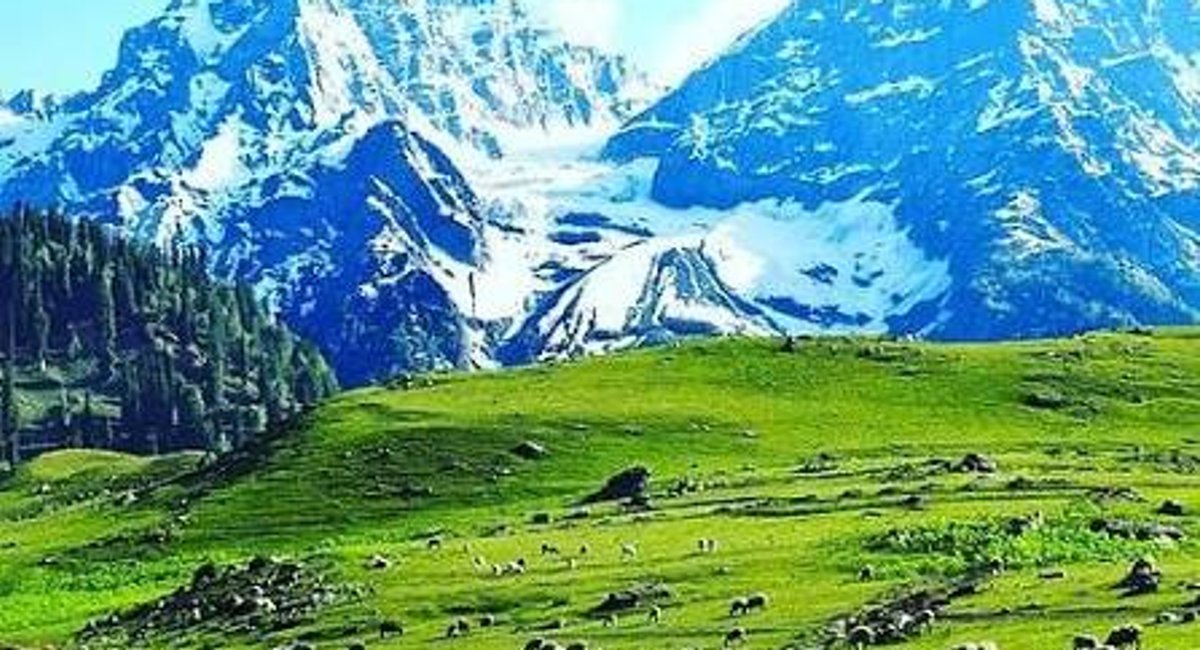 6 Days Kashmir Tour Package: Srinagar, Gulmarg & Pahalgam