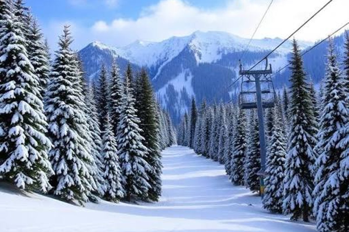 Kashmir Tour Package from Hyderabad | 4 Night / 5Days