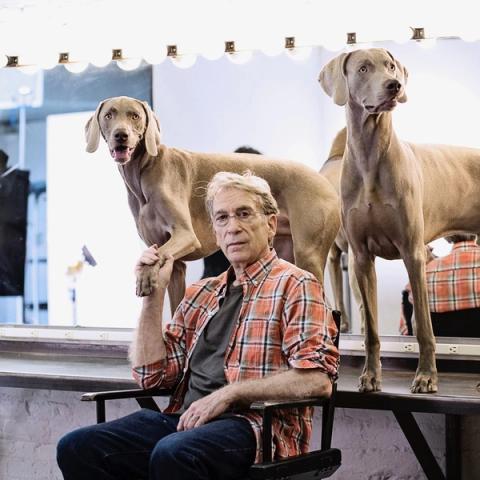 A portrait of the artist William Wegman in his studio with his two dogs. He is an older white man with light blonde hair and glasses. Seated at a 3/4 turn and gazing at the viewer, Wegman is holding the left paw of his Weimaraner, a large silver-brown sporting dog, who also gazes at the viewer while panting slightly. The second dog stands next to the other on a table above the artist and is focused at something off-camera.