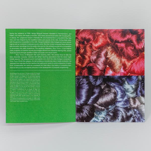 A photograph of an open book. On the left is a green page with white text consisting of artwork and exhibition information. On the right is a diptych of bundles of red hair on top and bundles of blue hair on the bottom.